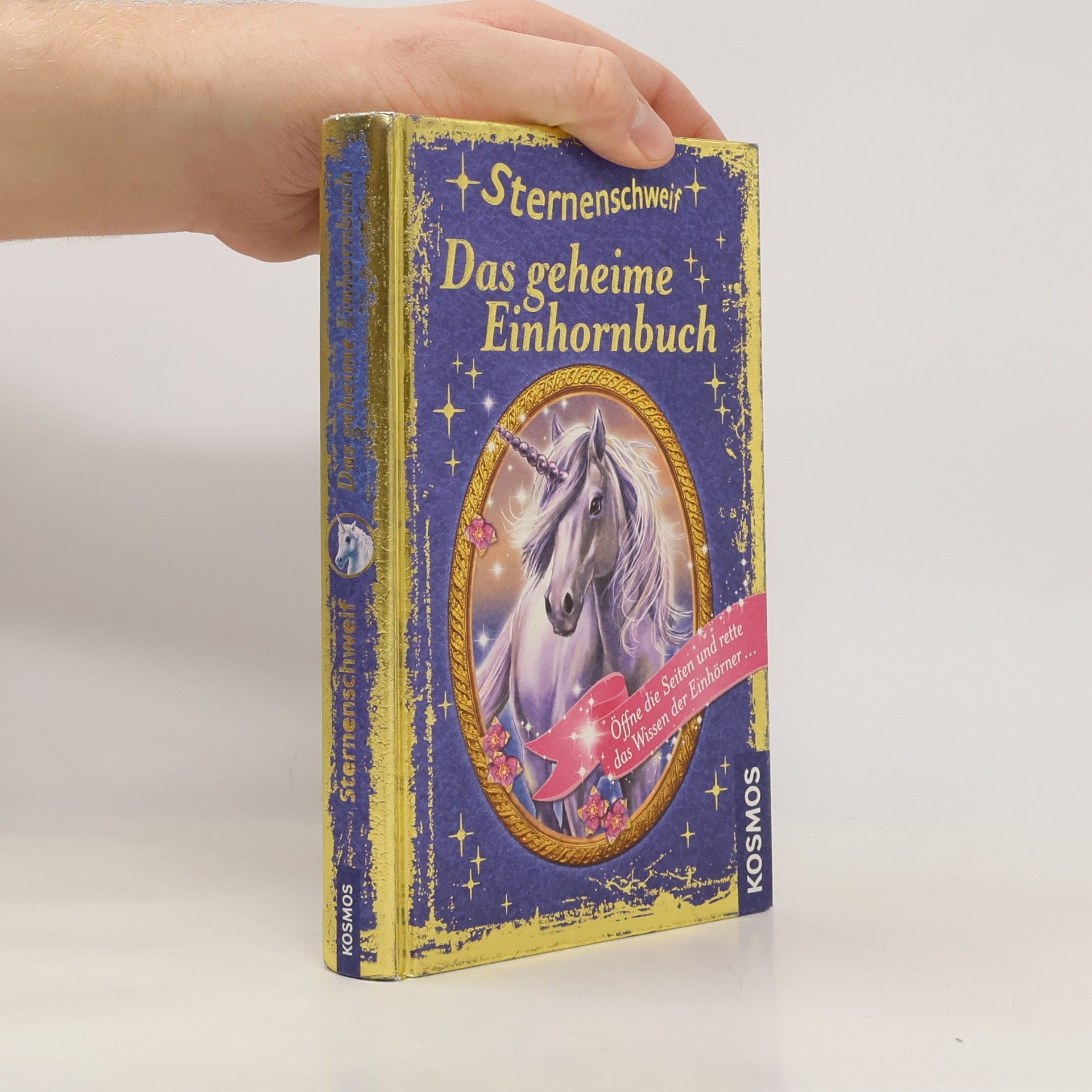 Anne Scheller Sternenschweif - das geheime Einhornbuch