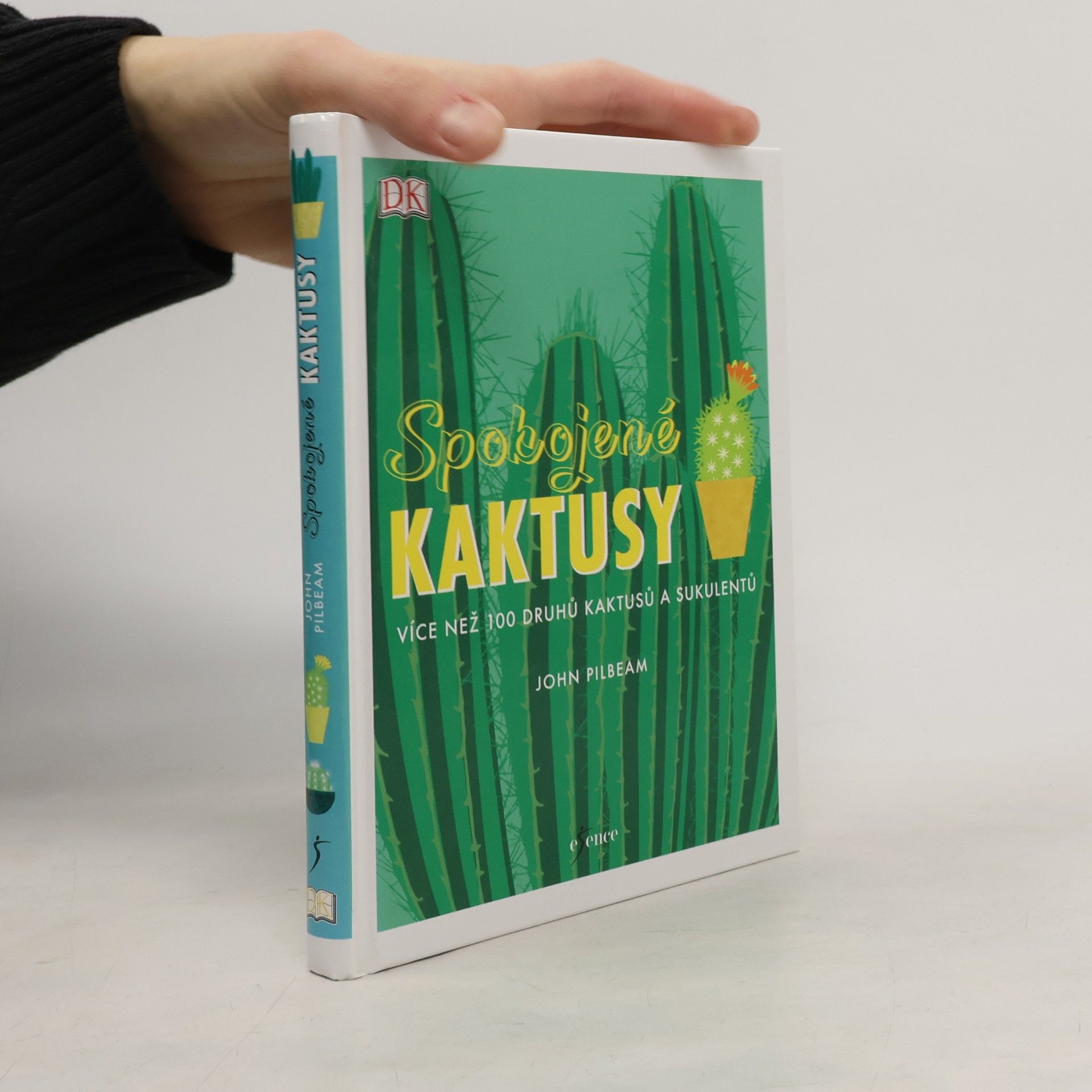 John Pilbeam Spokojené kaktusy