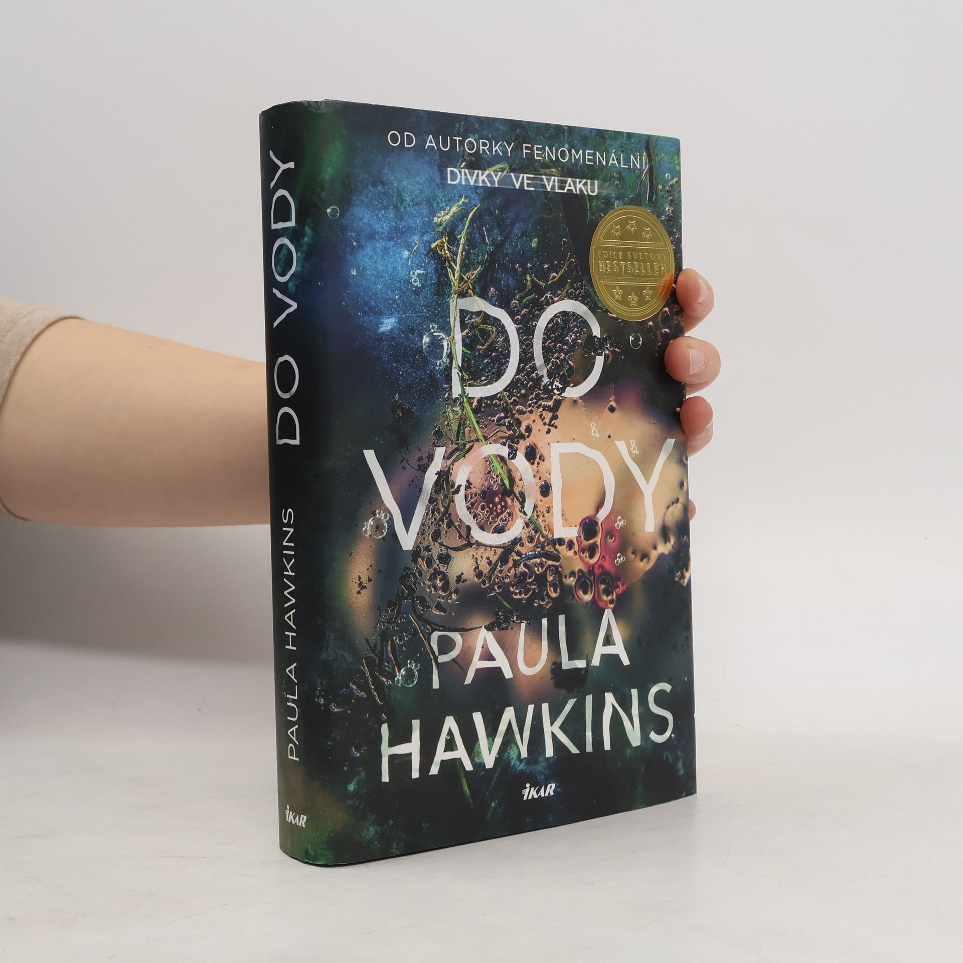 Paula Hawkins Do vody