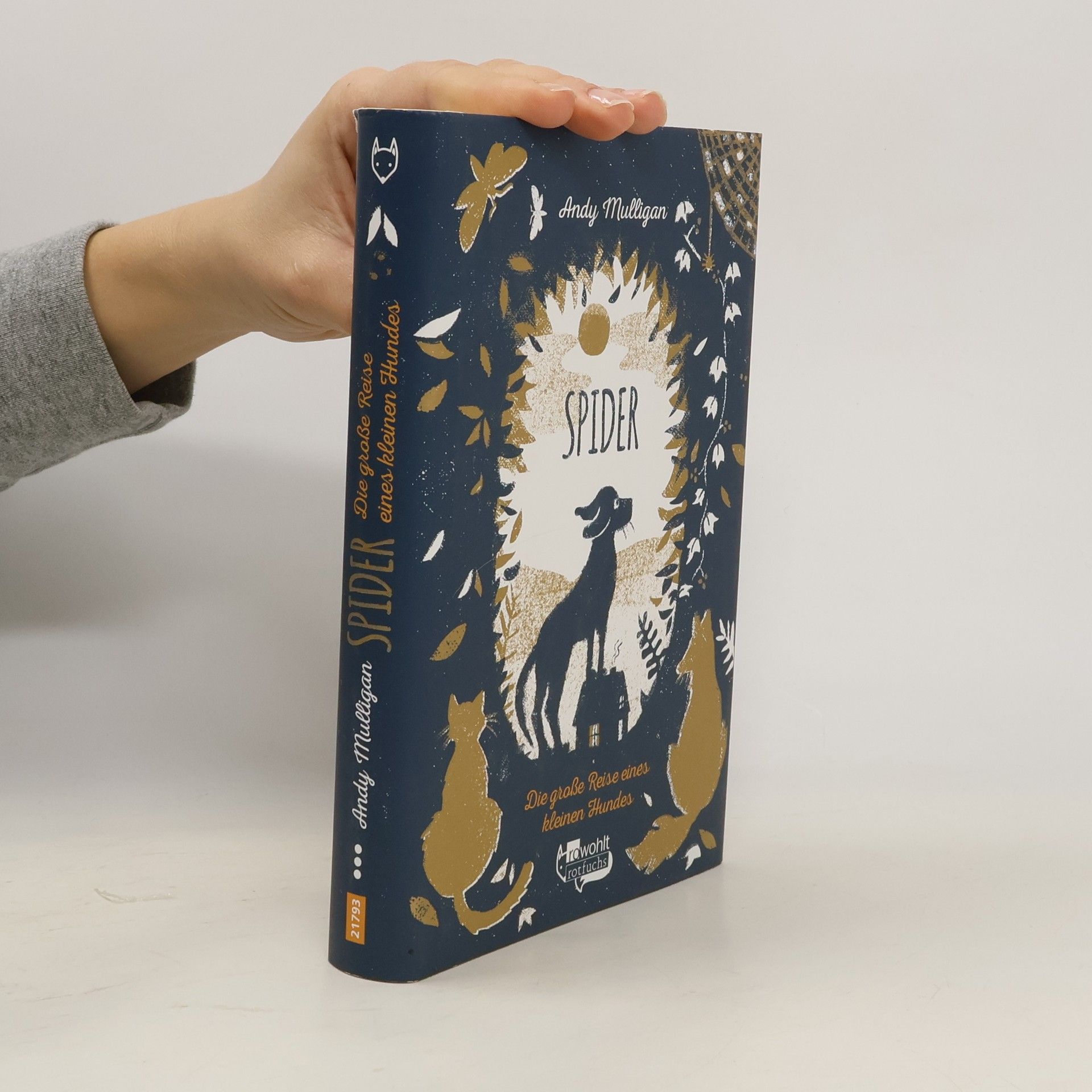 Andy Mulligan Spider