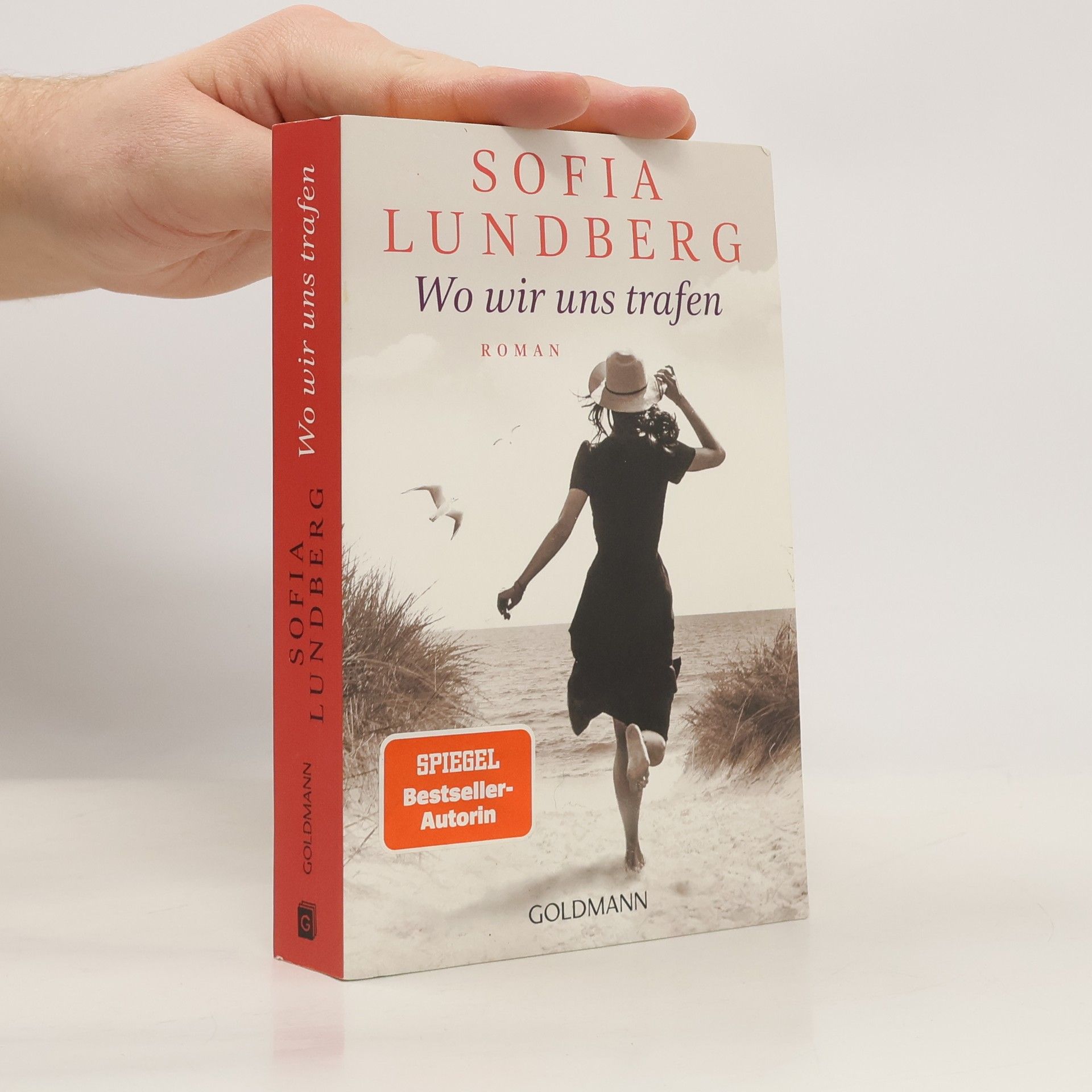 Sofia Lundberg Wo wir uns trafen