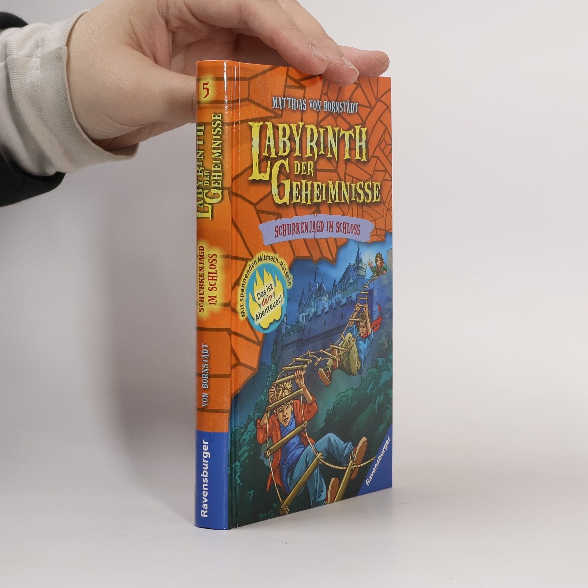 Matthias von Bornstädt Labyrinth der Geheimnisse: Schurkenjagd im Schloss