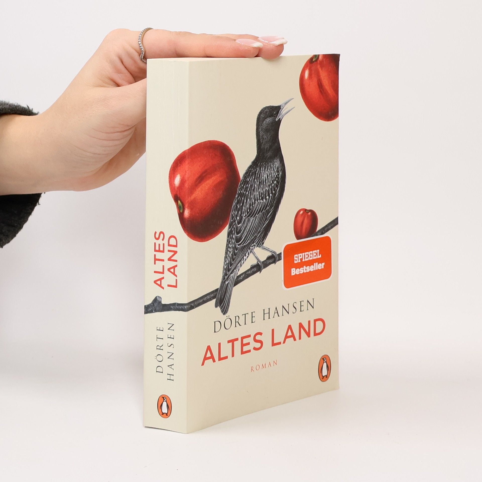 Dörte Hansen Altes Land