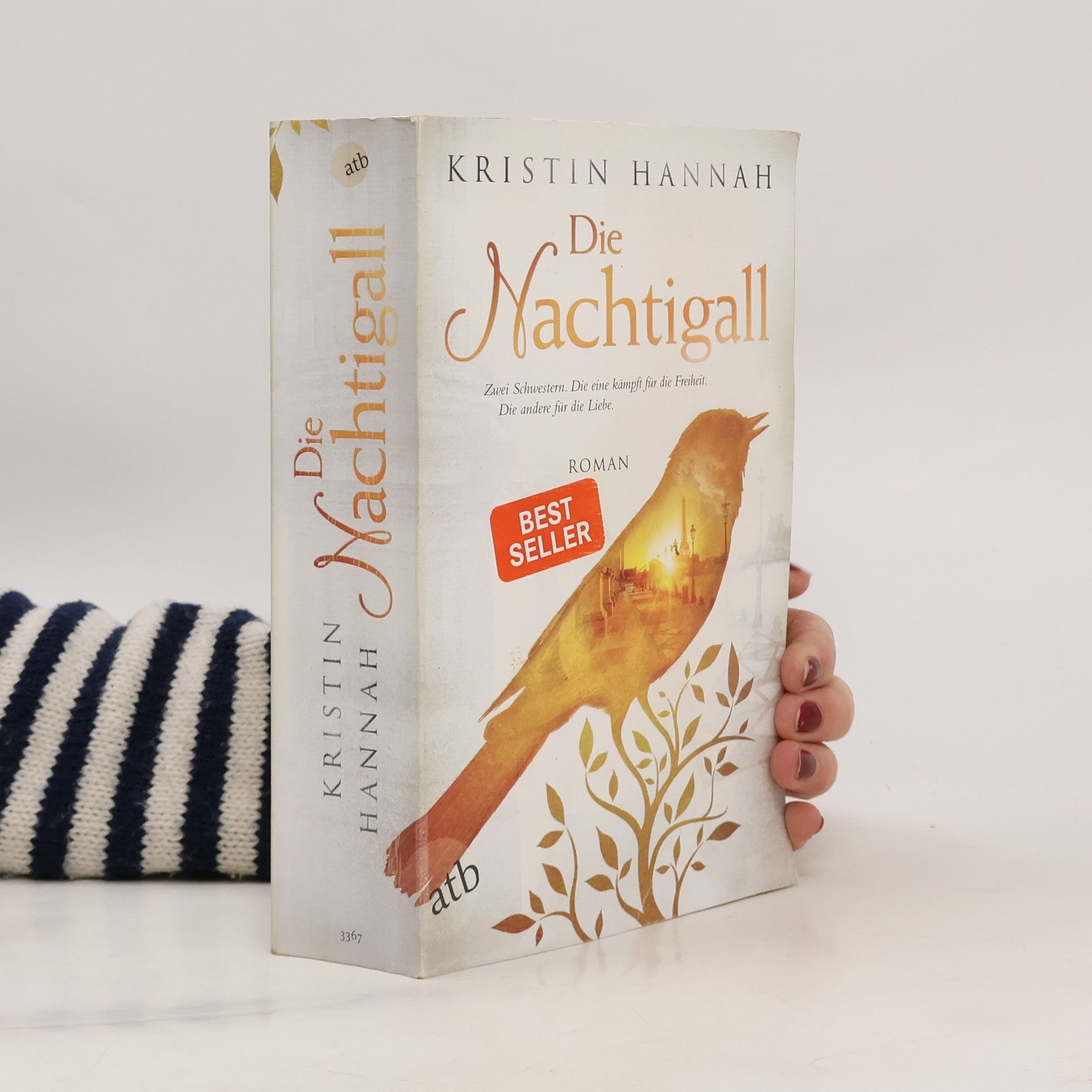 Kristin Hannah Die Nachtigall