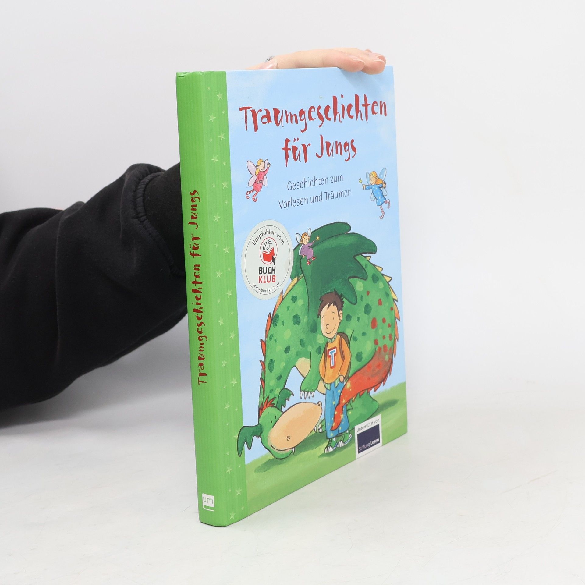 Autorenkollektiv Traumgeschichten für Jungs