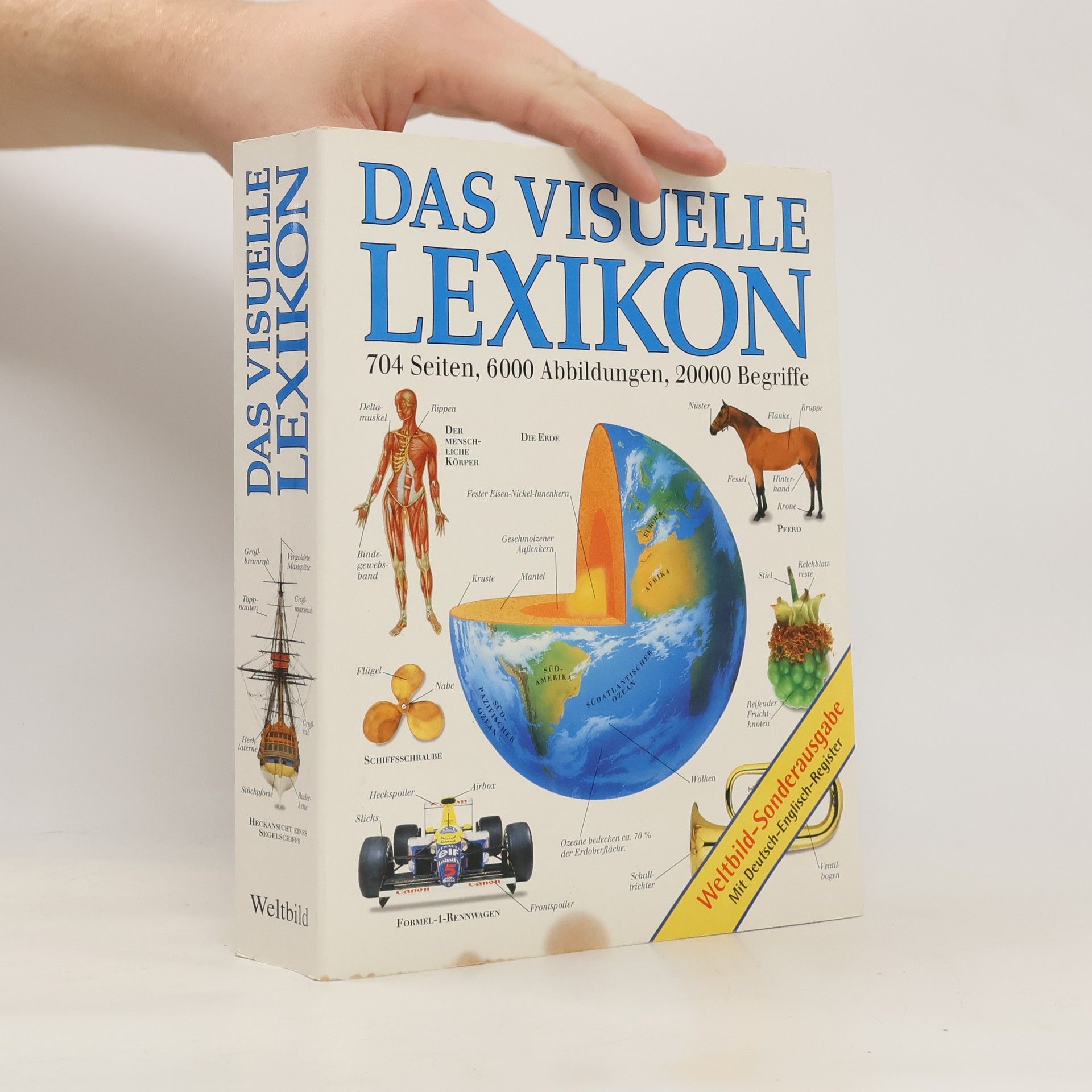 Margot Wilhelmi Das visuelle Lexikon