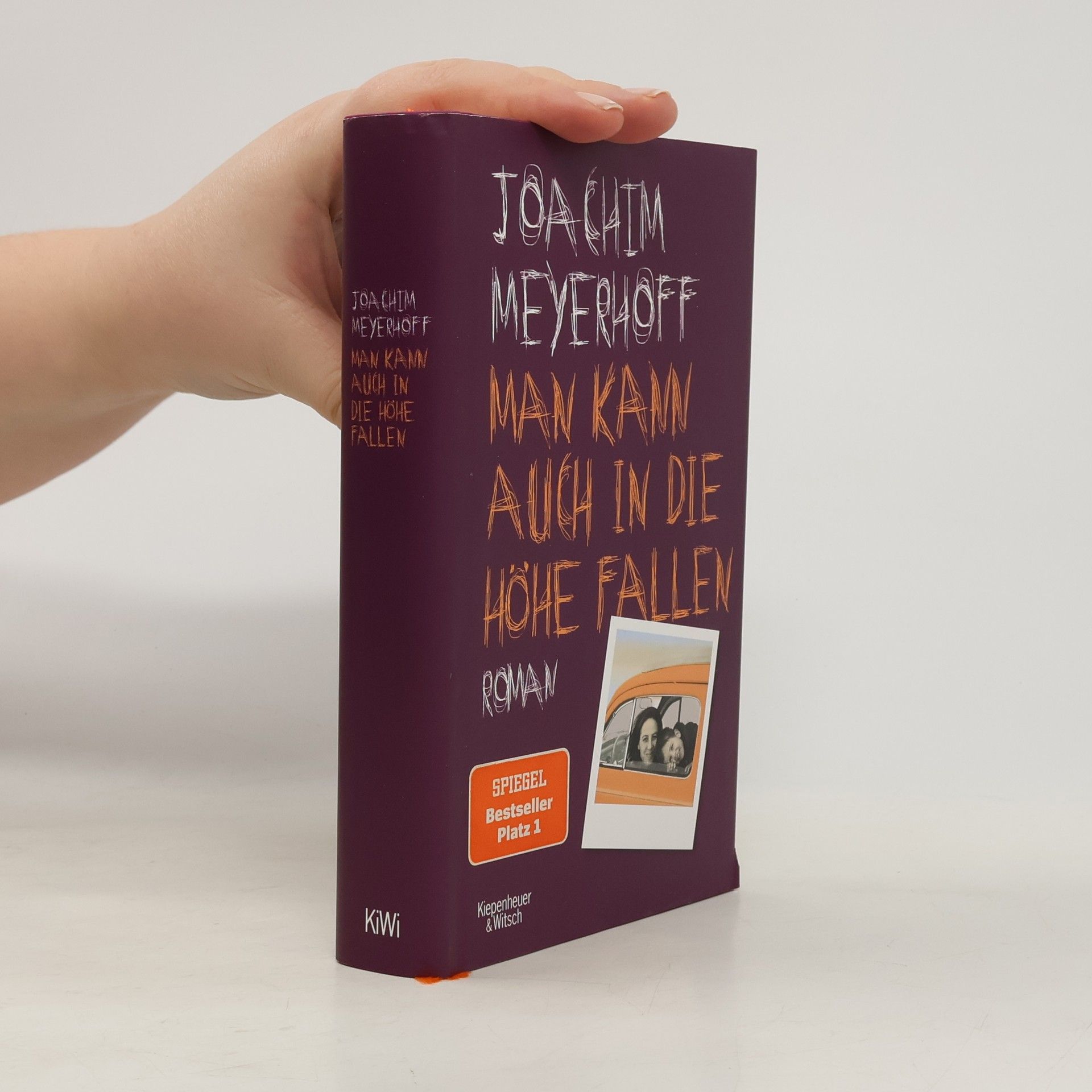 Joachim Meyerhoff Man kann auch in die Höhe fallen