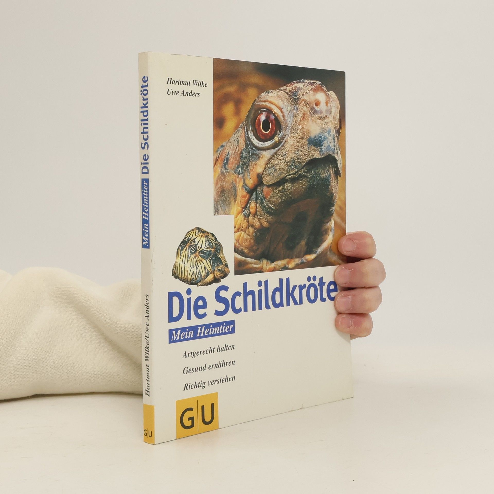 Hartmut Wilke Die Schildkröte