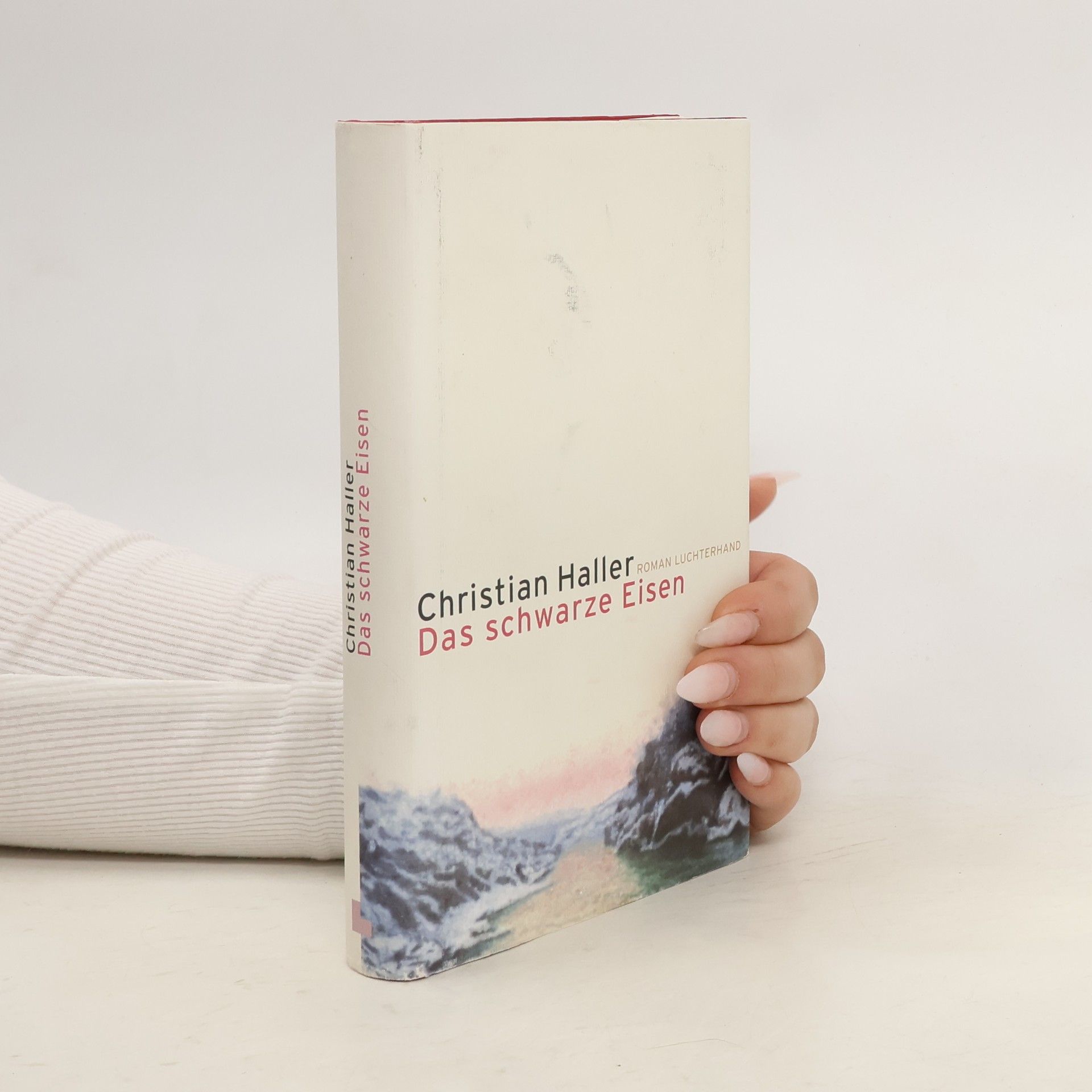 Christian Haller Das schwarze Eisen