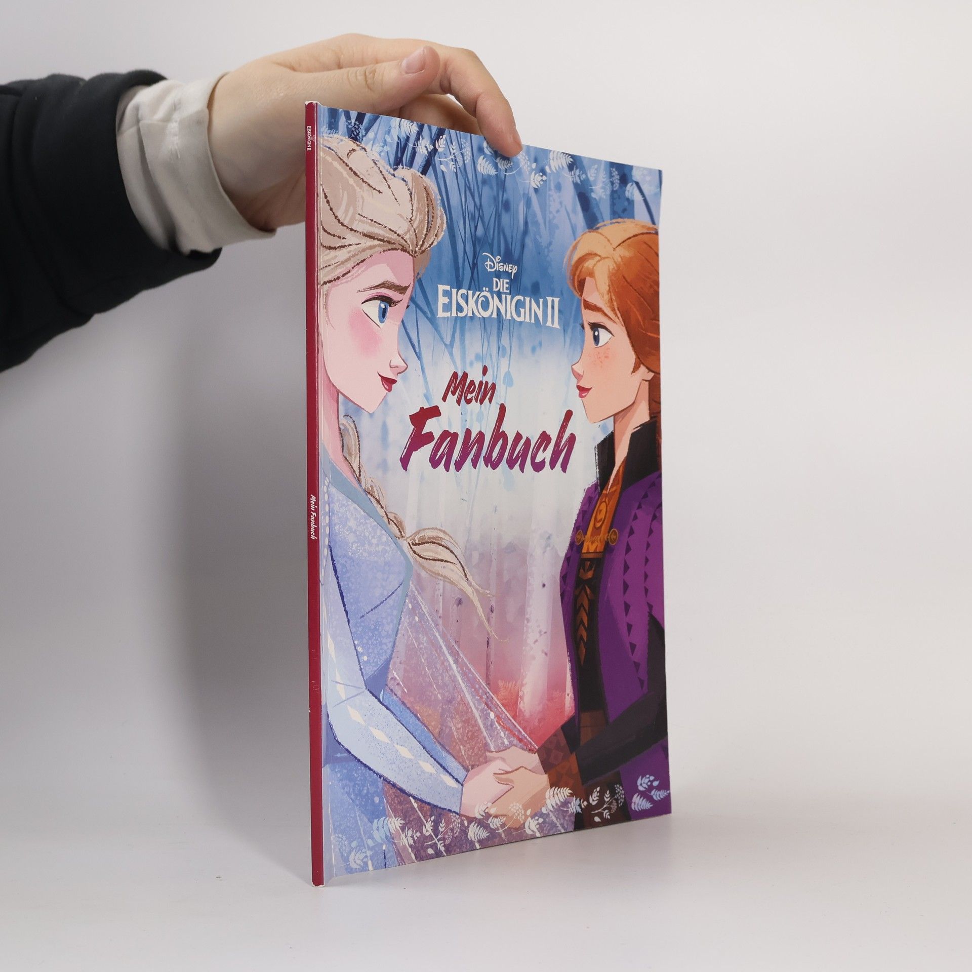 Die Eiskönigin II - mein Fanbuch