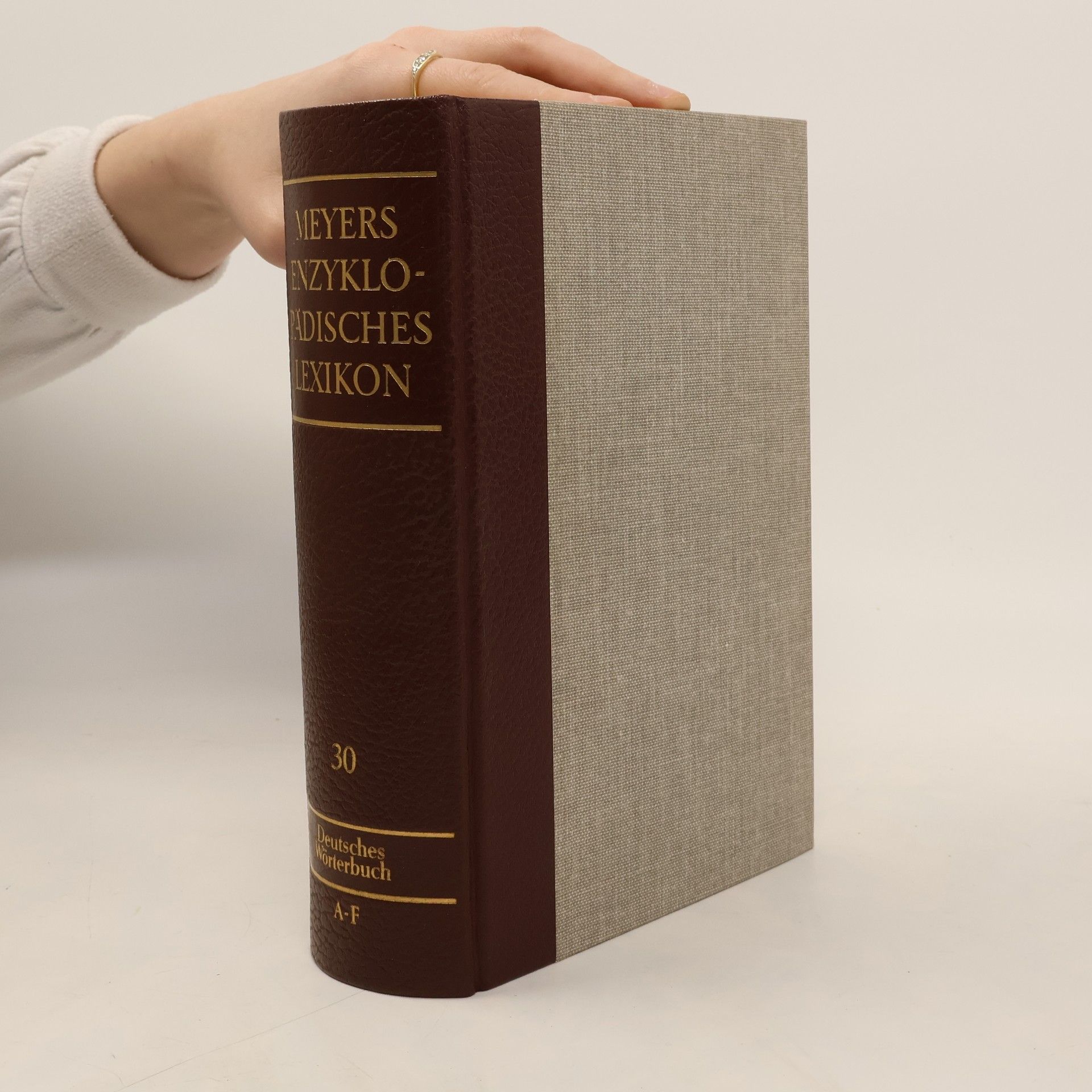 Autorenkollektiv Das grosse Wörterbuch der deutschen Sprache