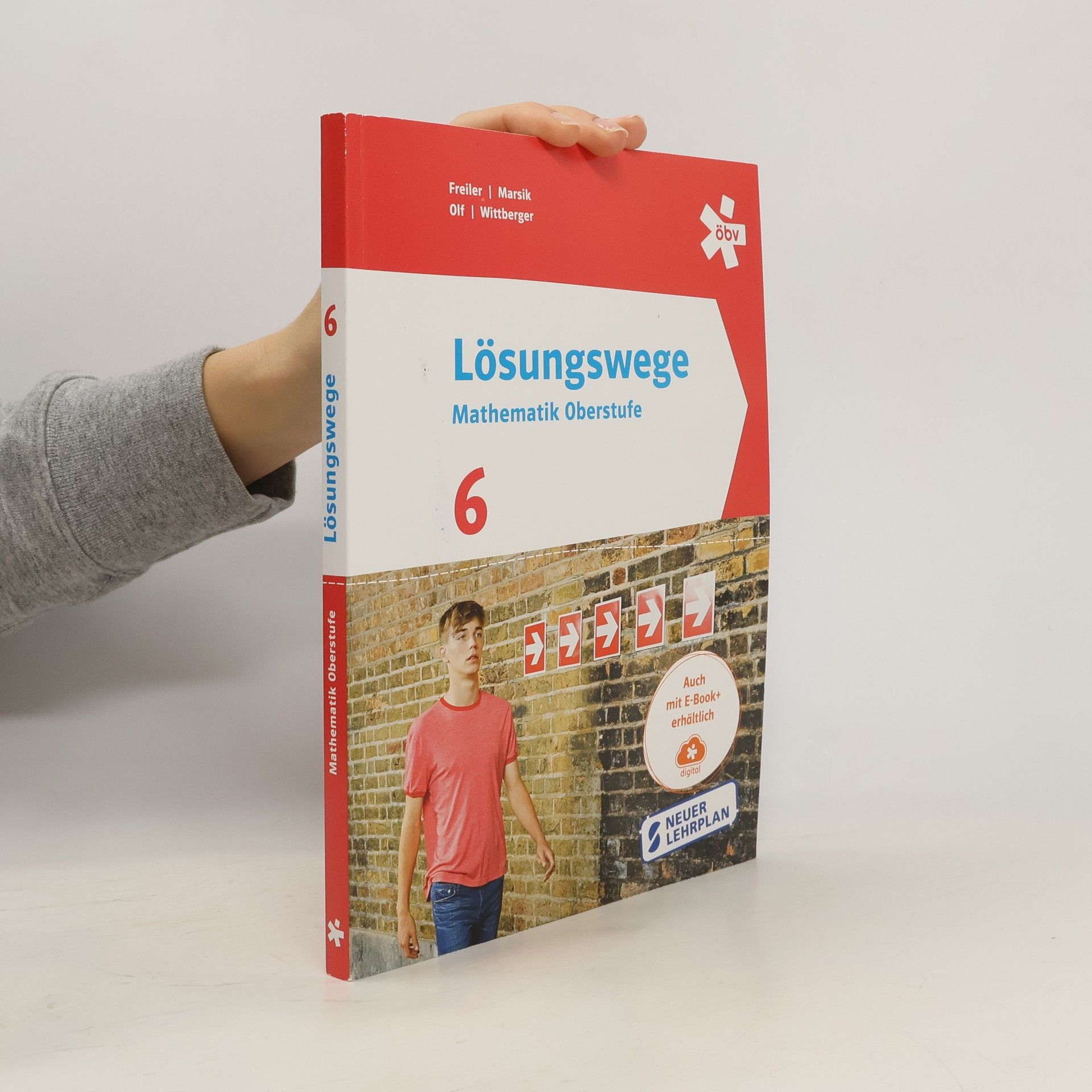 Autorenkollektiv Lösungswege Mathematik Oberstufe 6