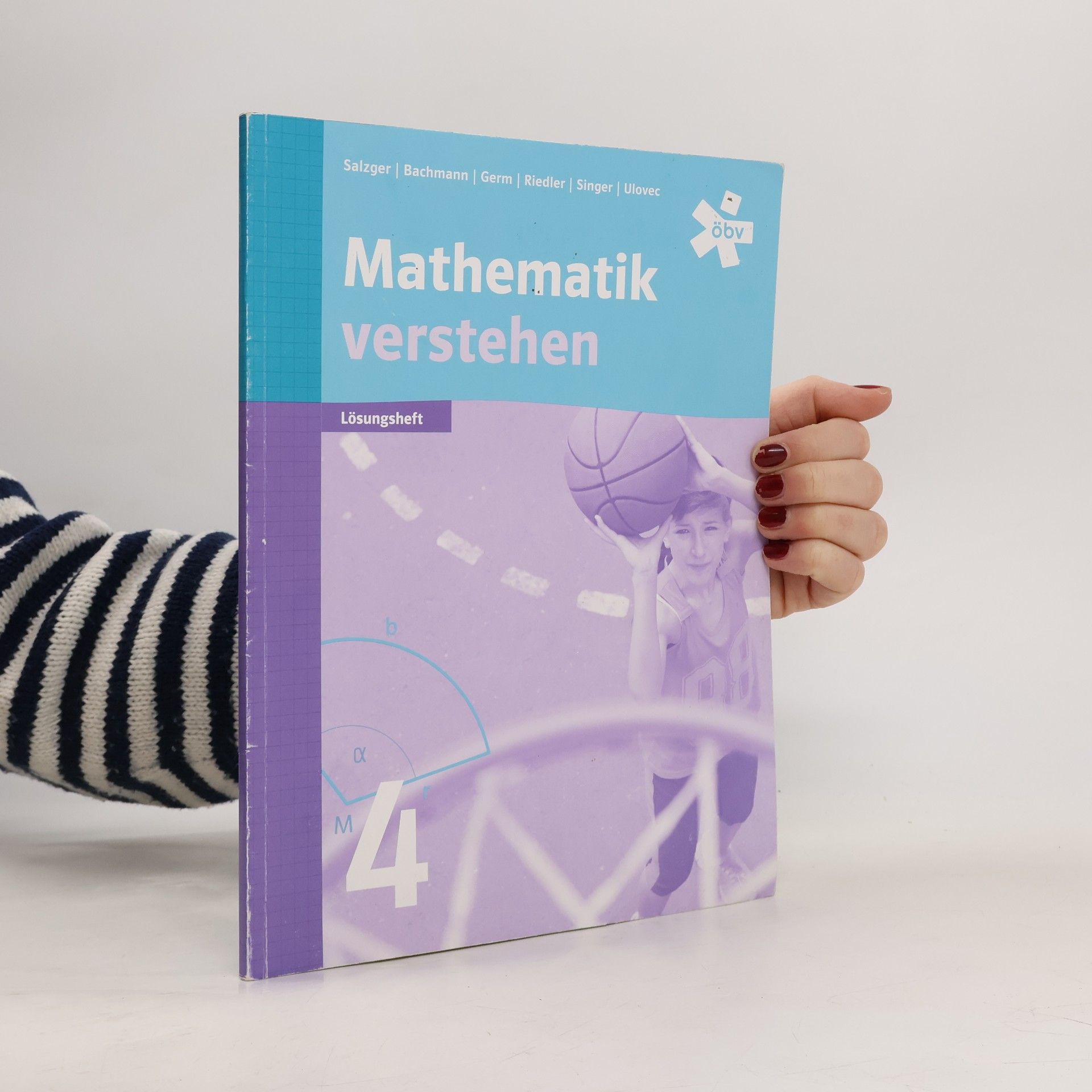 Judith Bachmann Mathematik verstehen