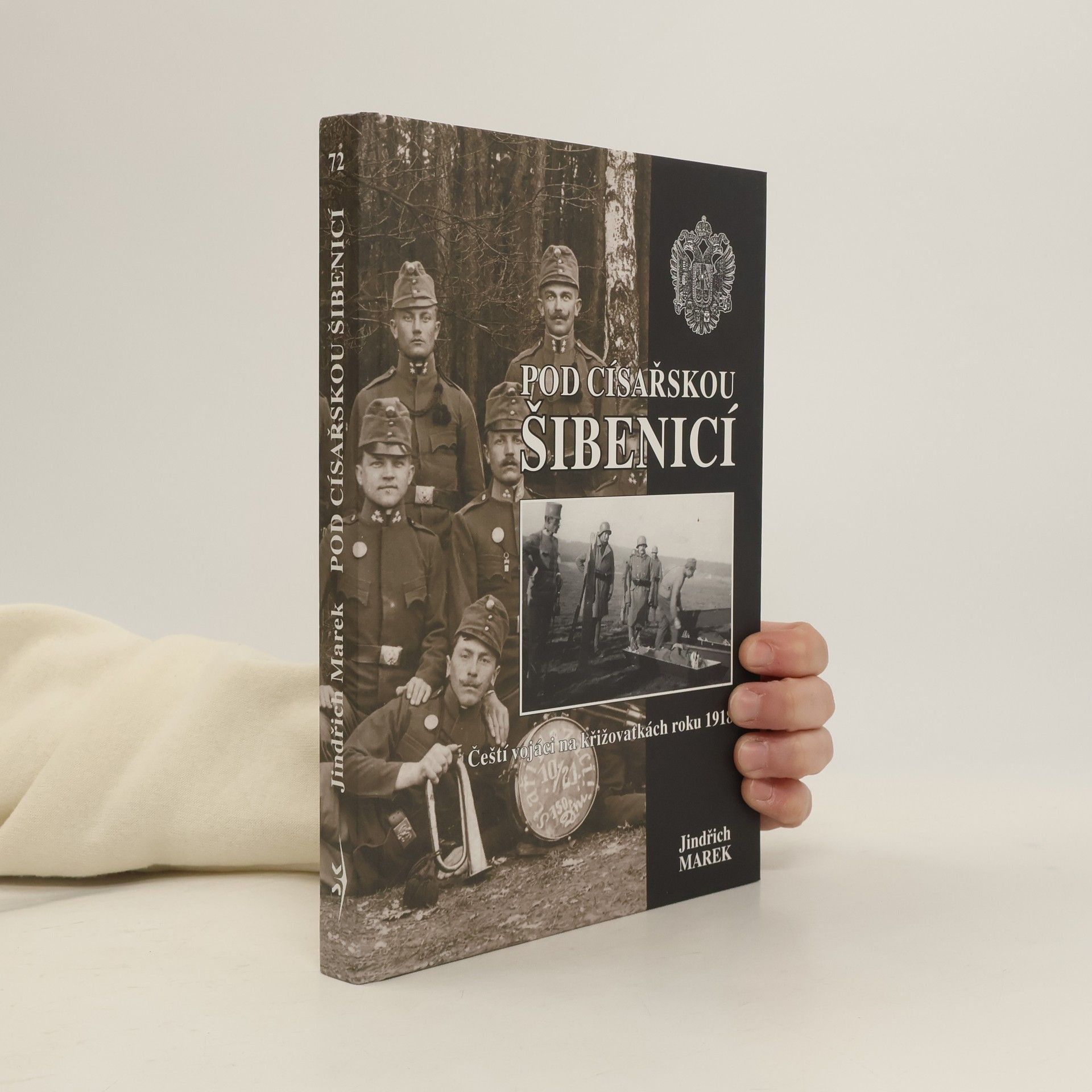 Autorenkollektiv Pod císařskou šibenicí : čeští vojáci na křižovatkách roku 1918