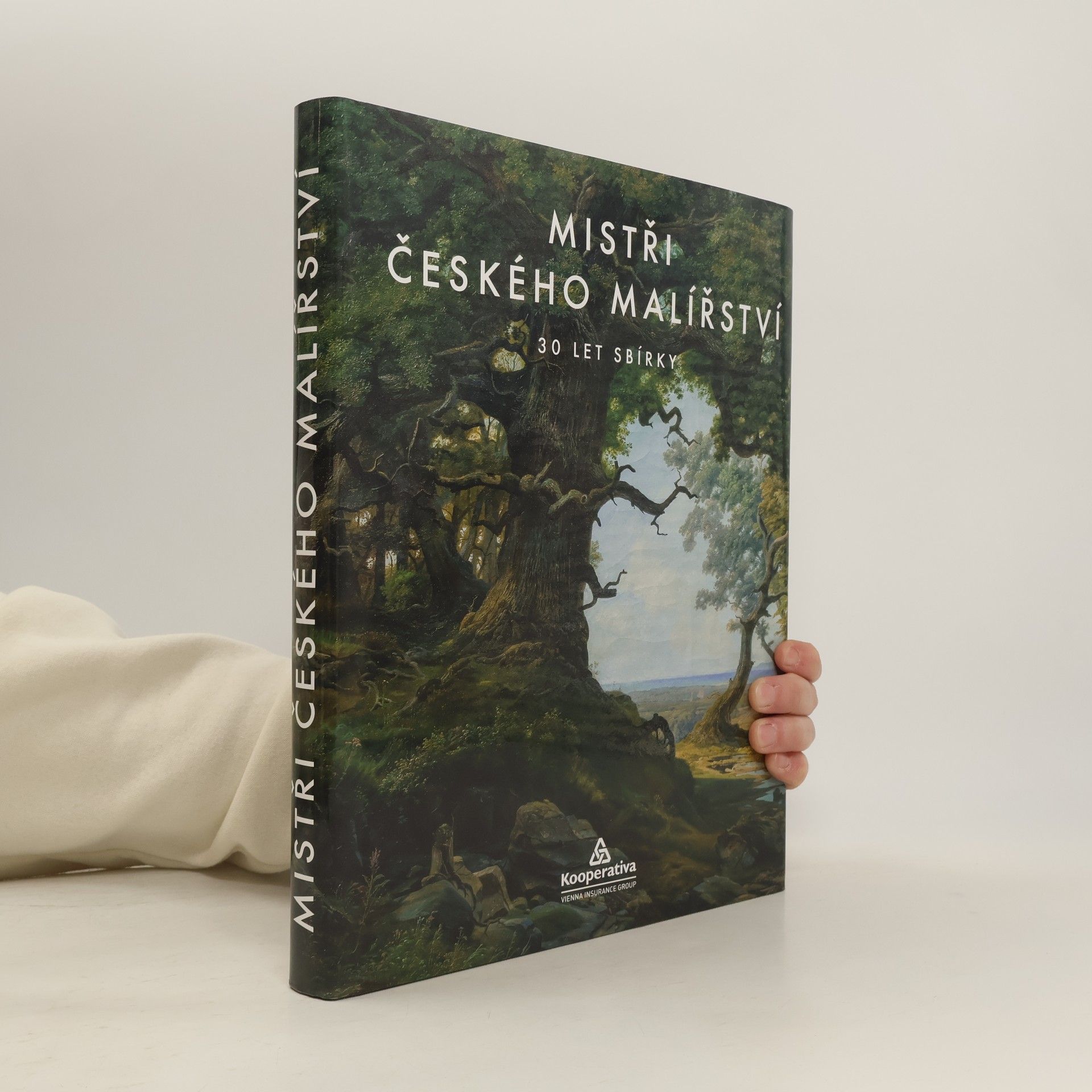 Mistři českého malířství : 30 let sbírky