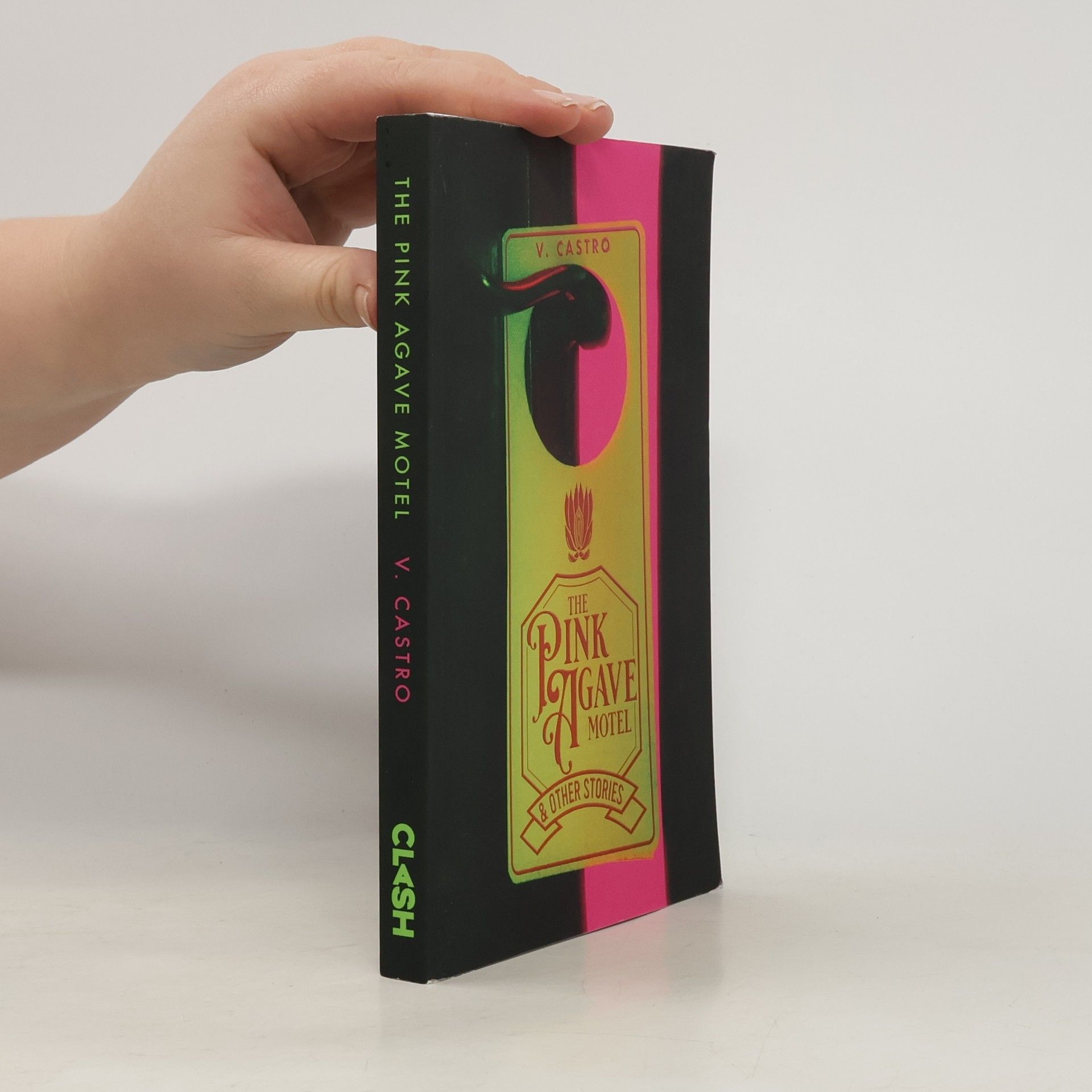 V. Castro The Pink Agave Motel