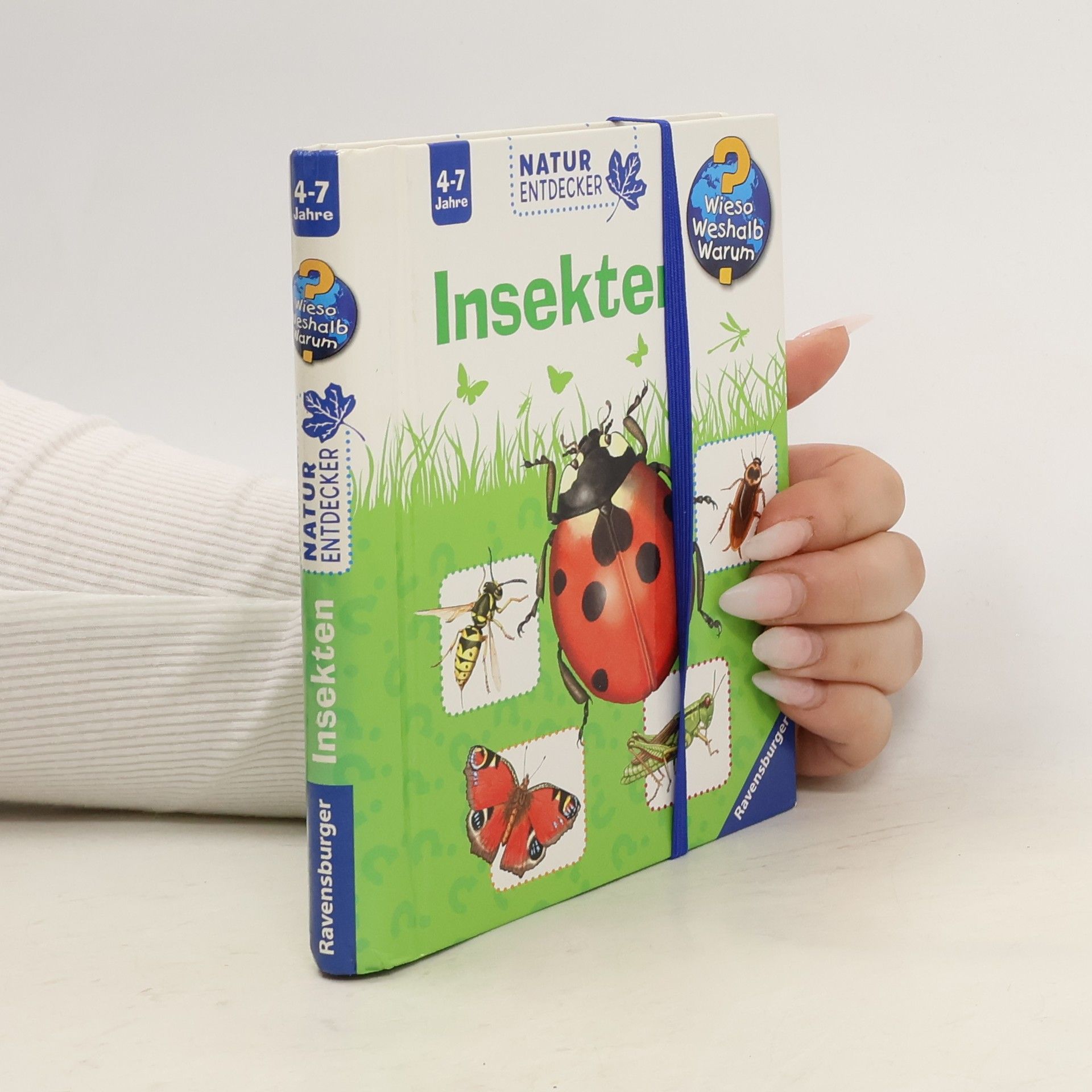 Esther von Hacht Insekten