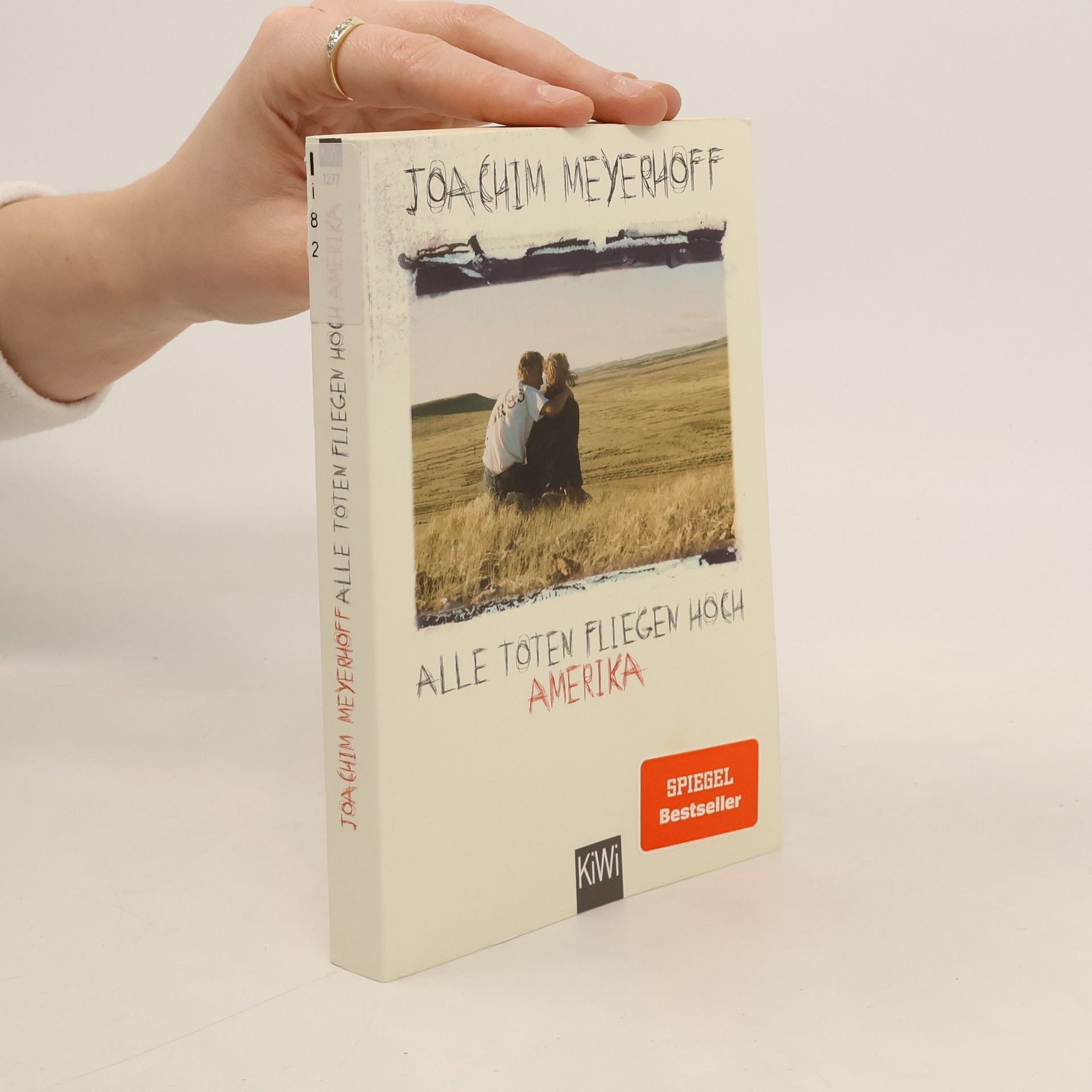 Alle Toten fliegen hoch. Roman Teil 1, Amerika