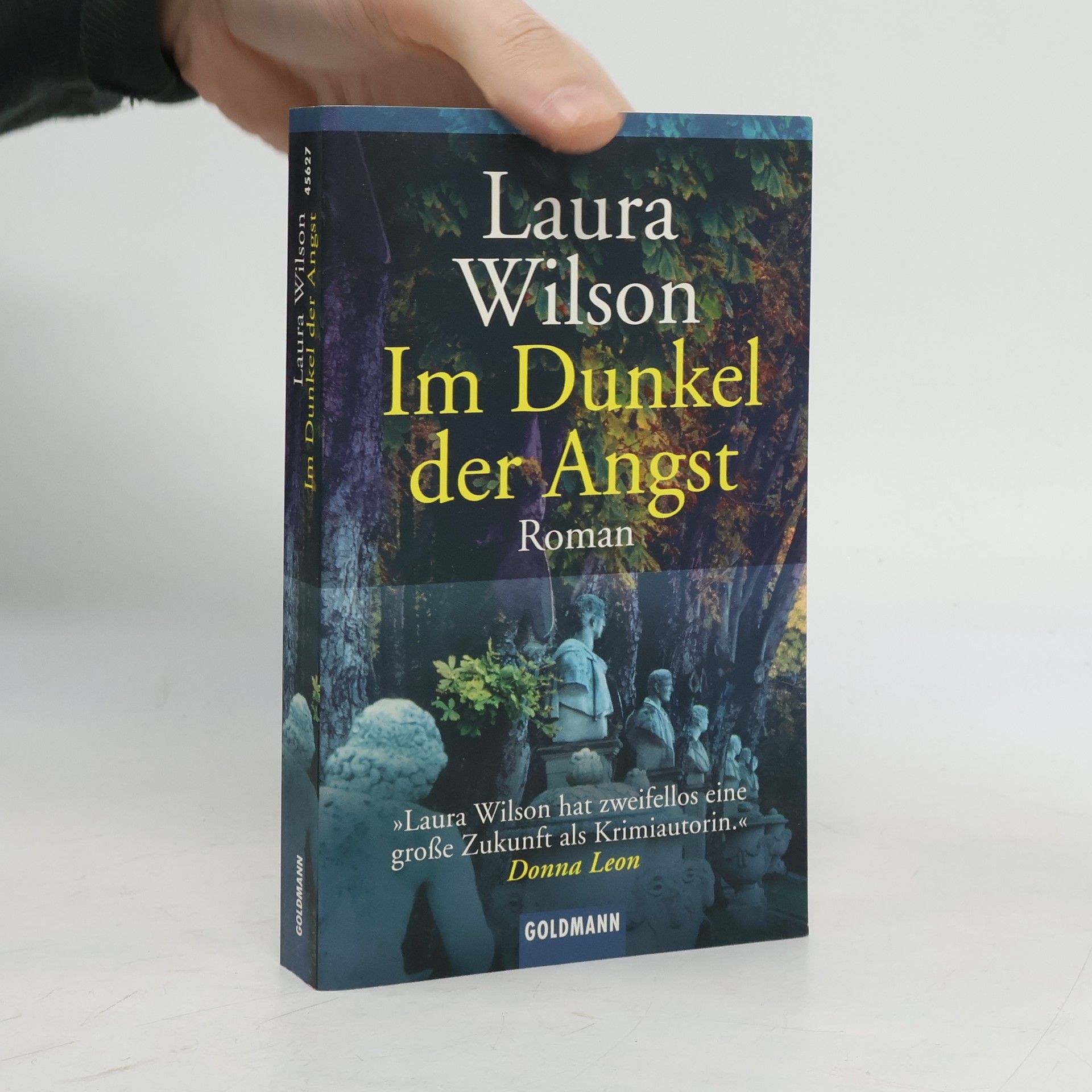 Laura Wilson Im Dunkel der Angst