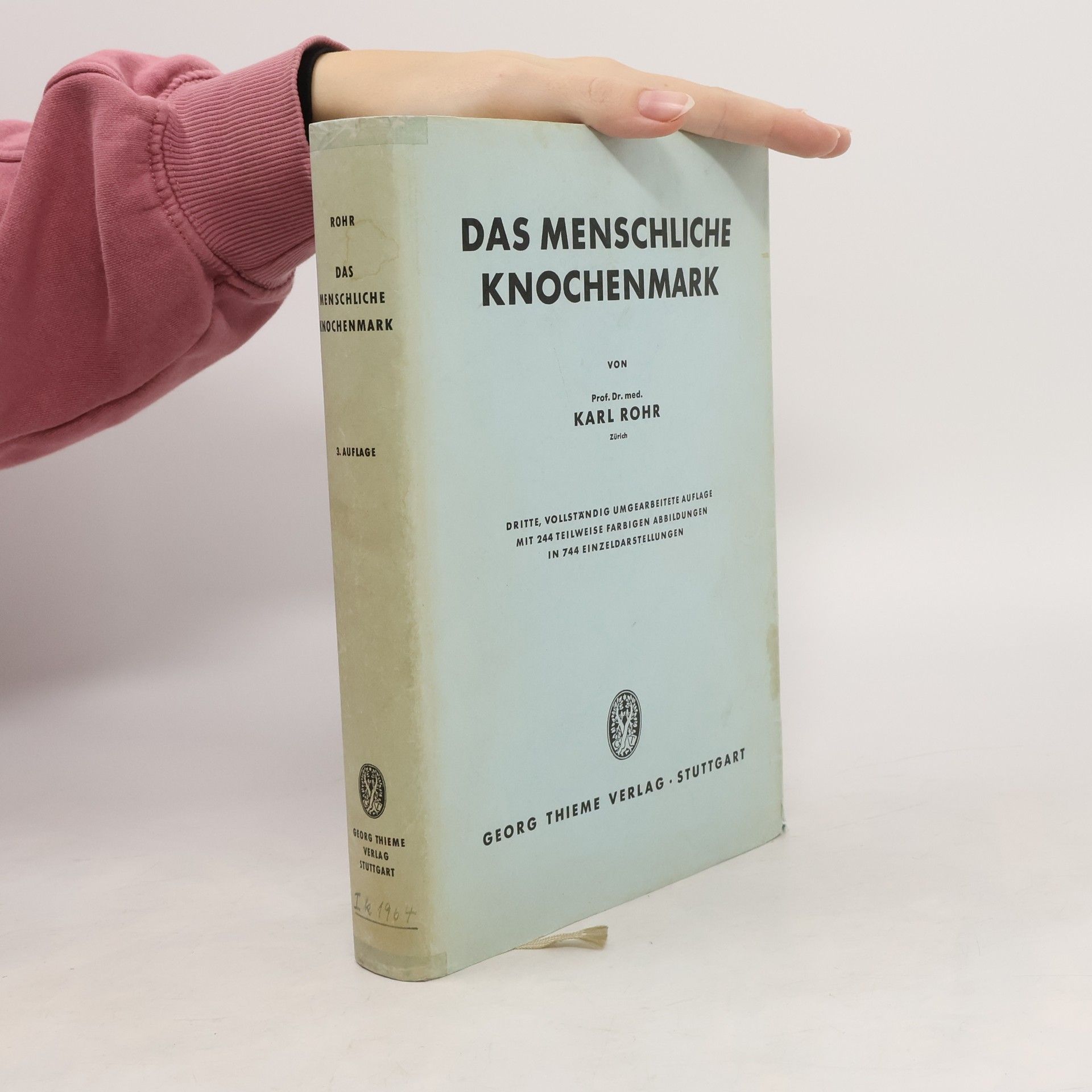 Das menschliche Knochenmark