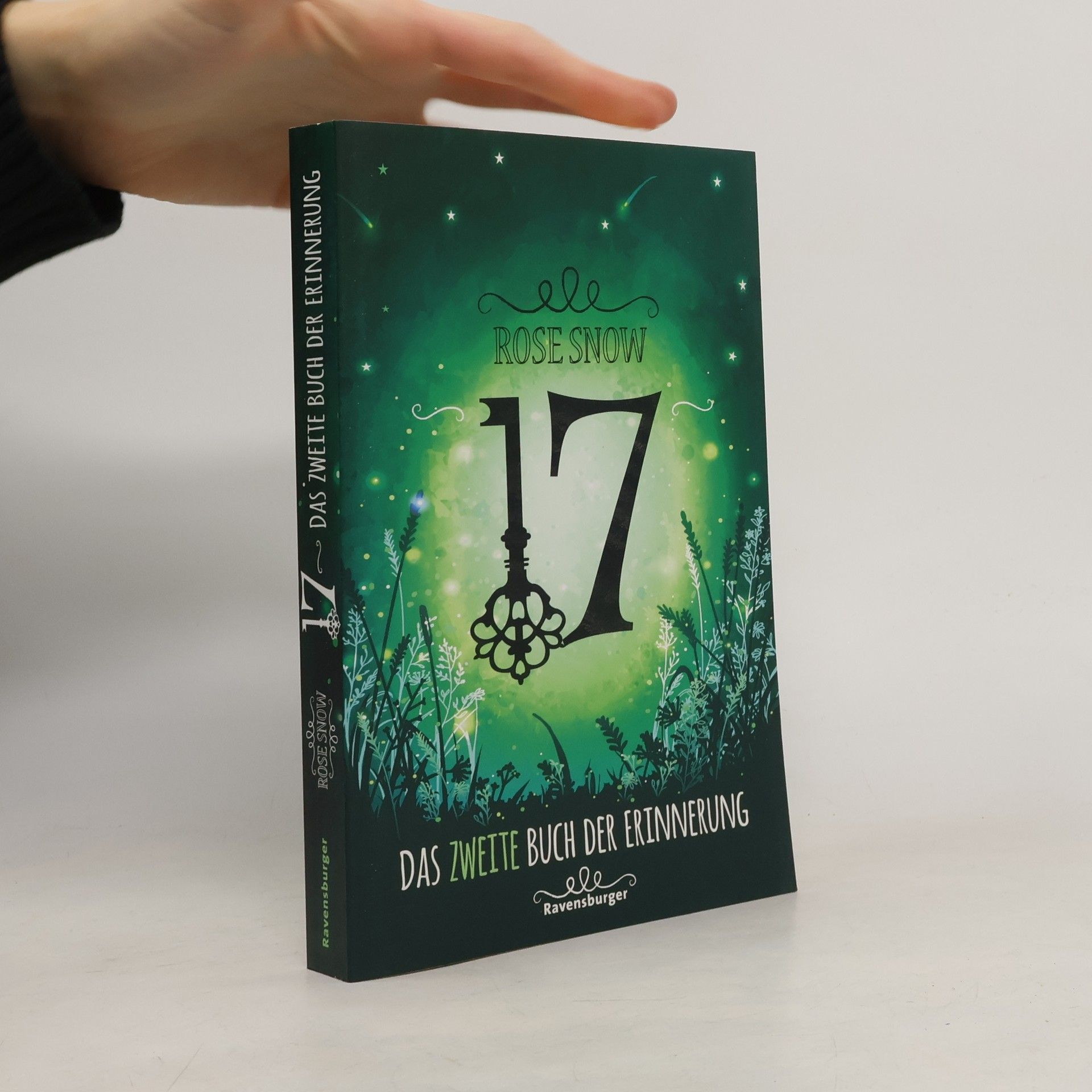 Rosie Snow 17 : Das zweite Buch der Erinnerung