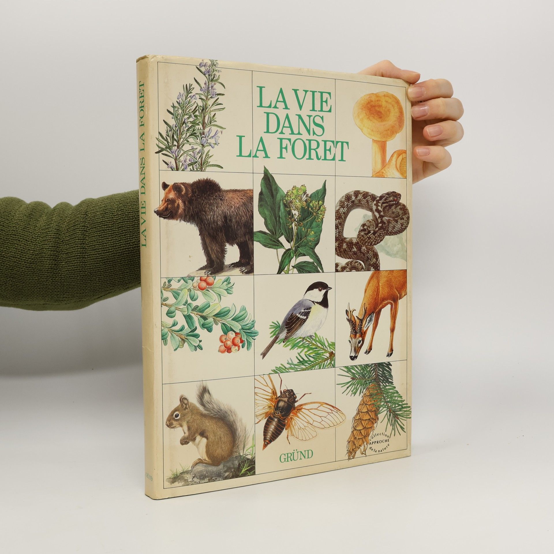 La vie dans la foret