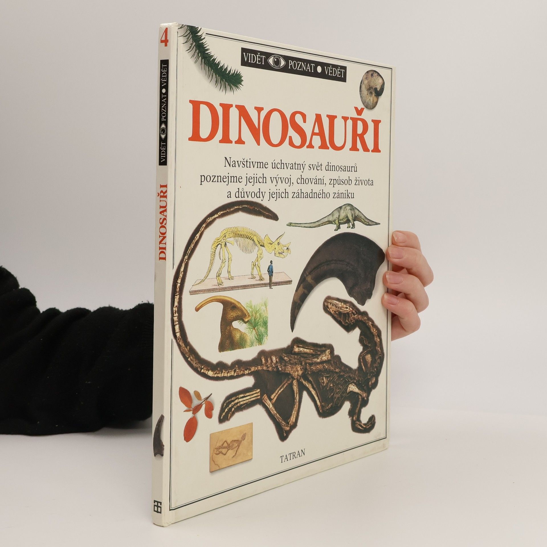 Autores varios Dinosauři