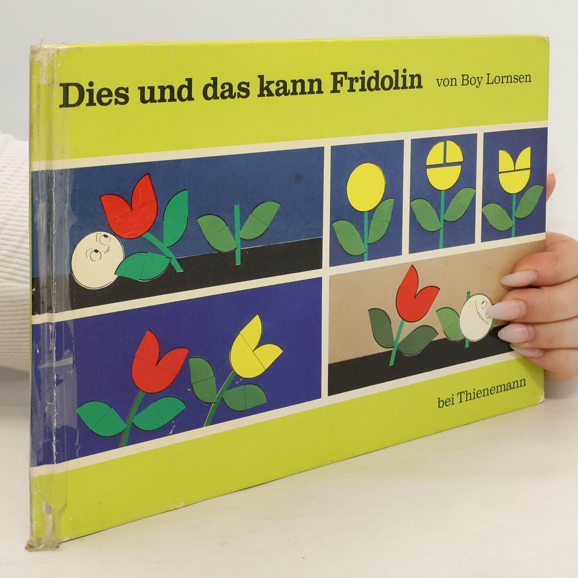 Boy Lornsen Dies und das kann Fridolin