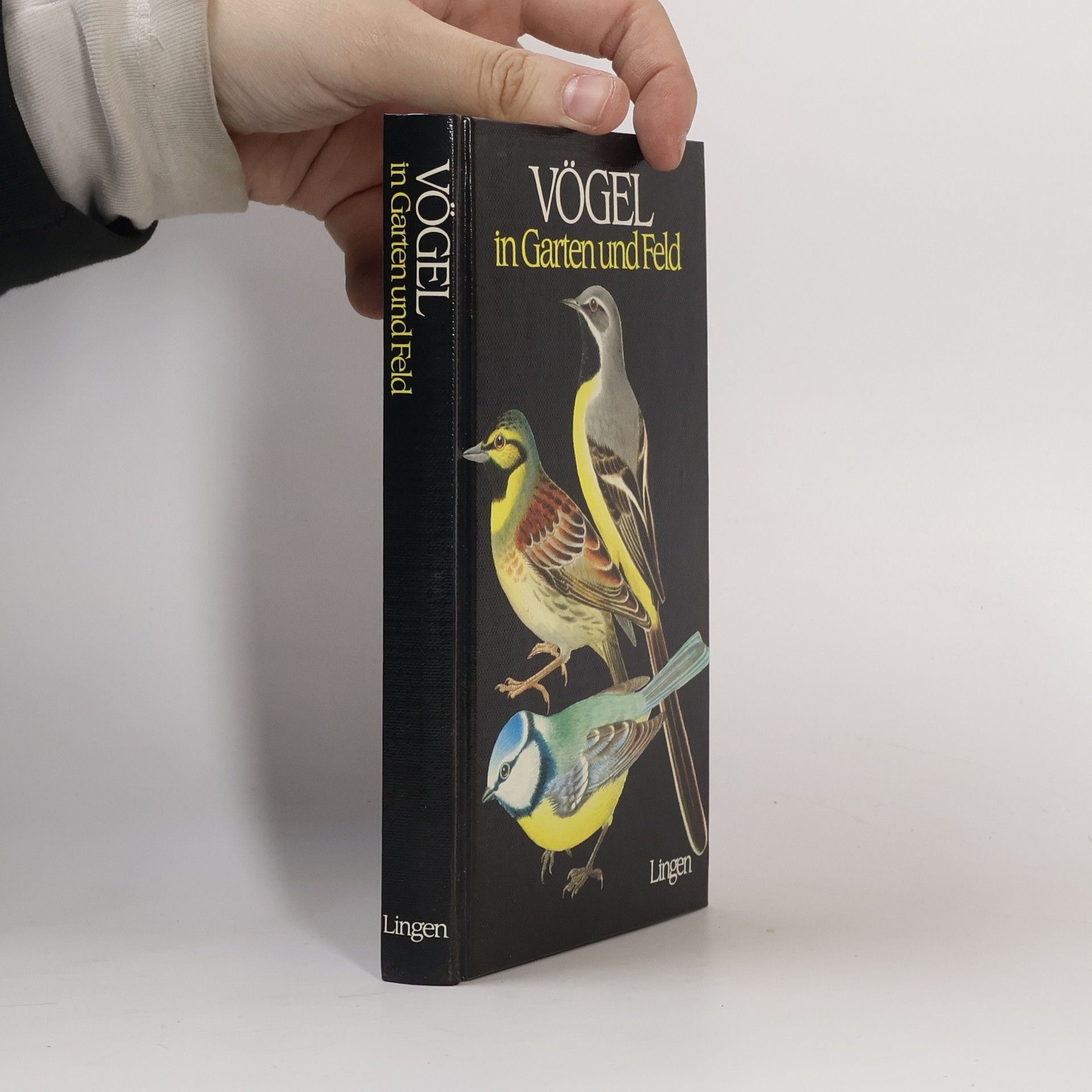 Autorenkollektiv Vögel in Garten und Feld