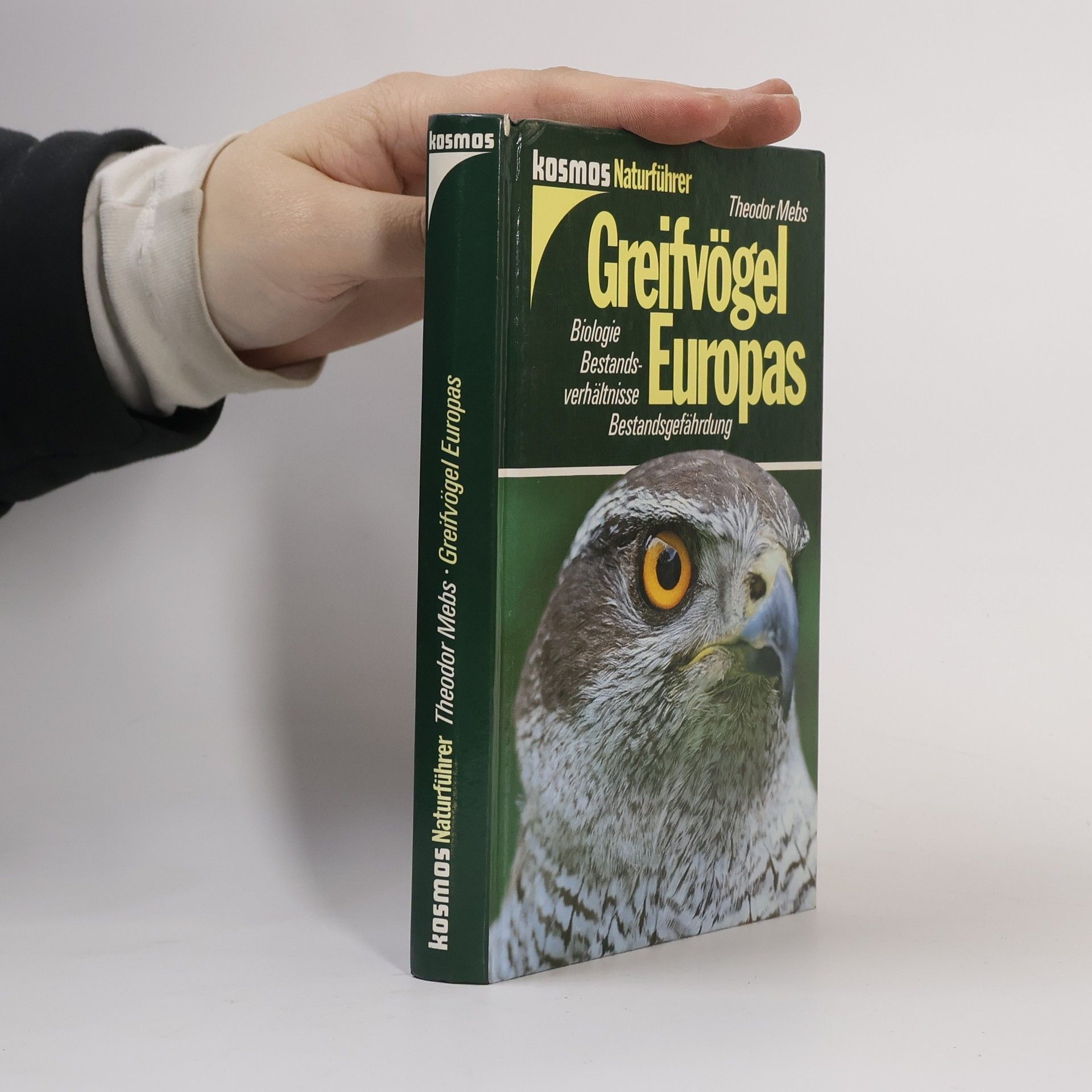 Theodor Mebs Greifvögel Europas