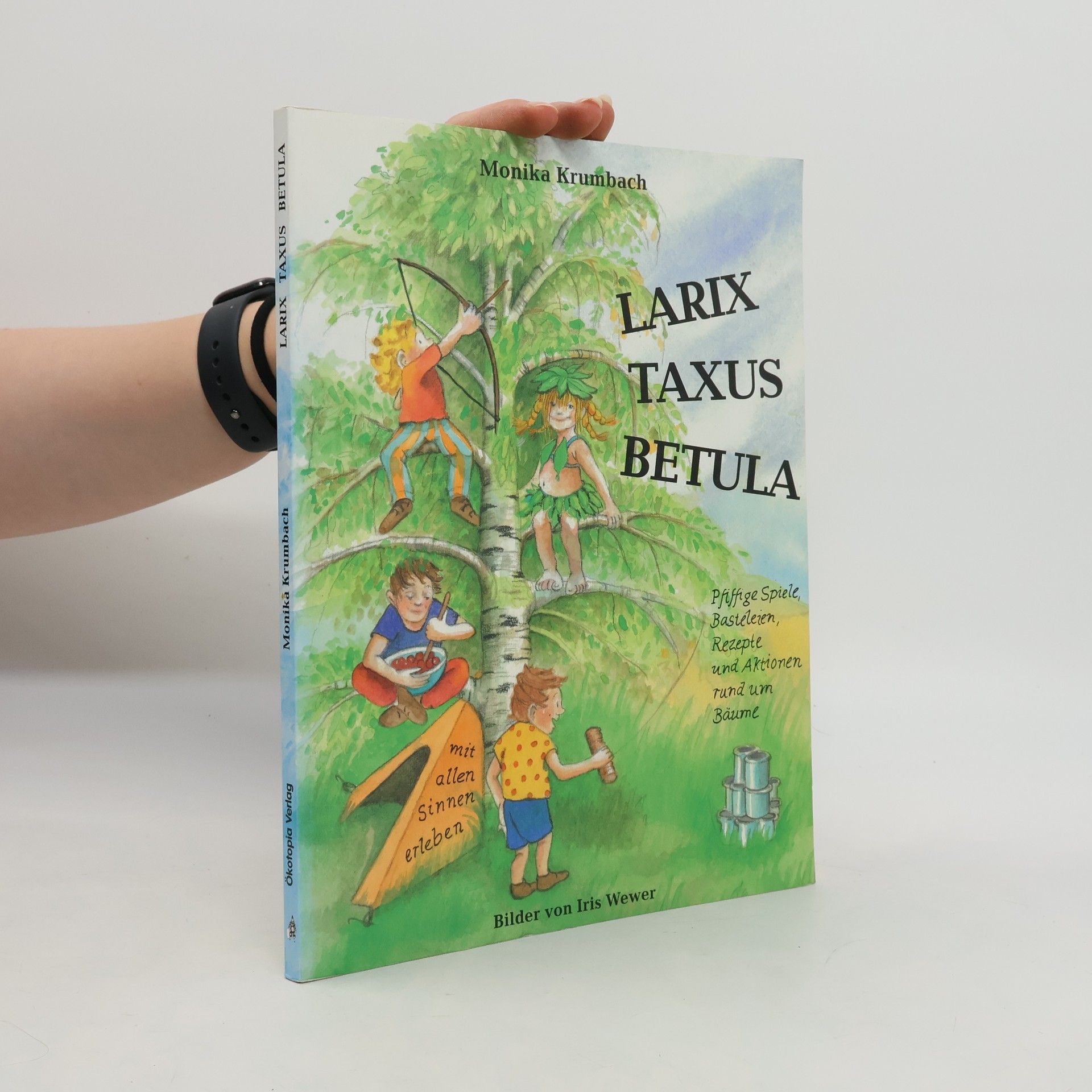 Larix, Taxus, Betula