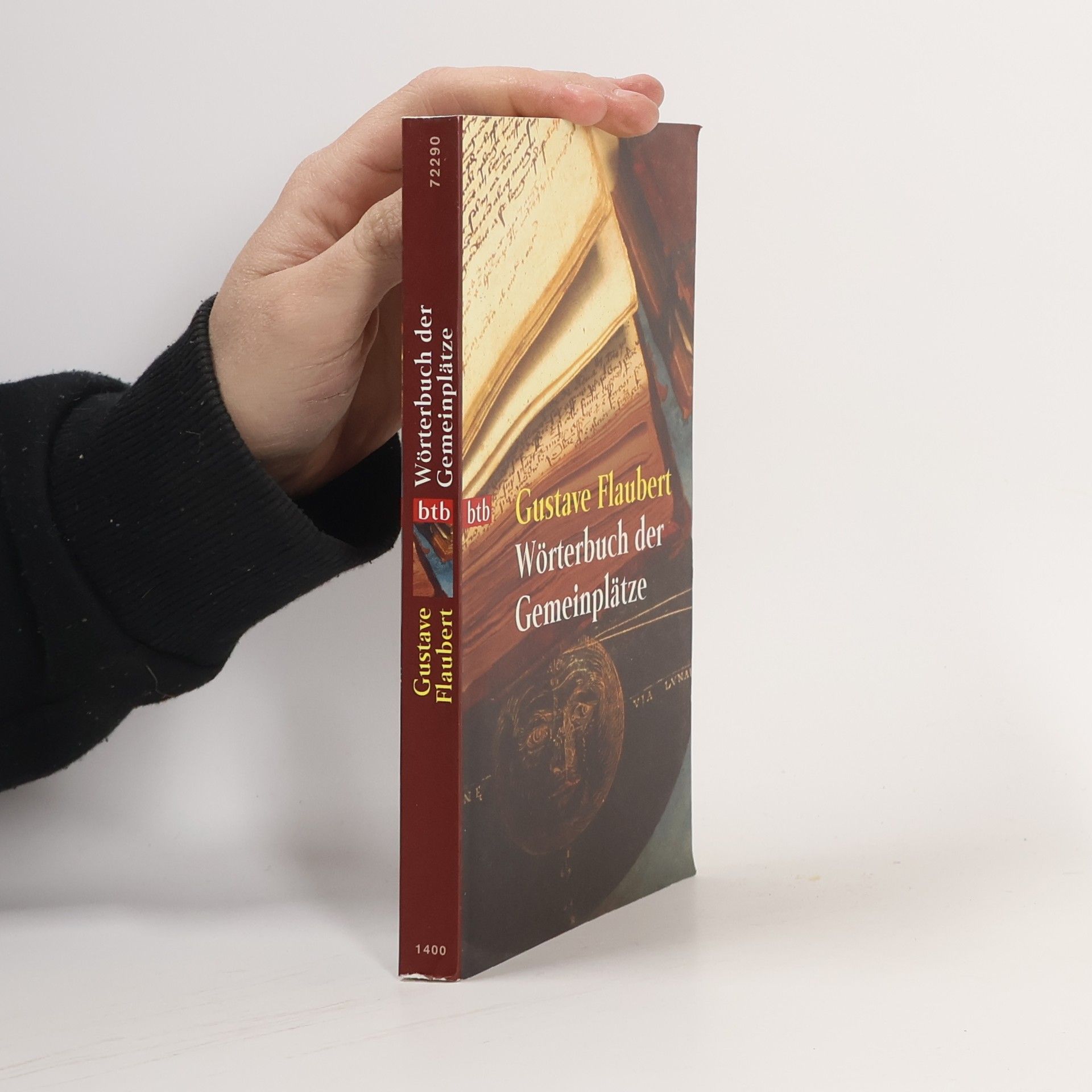 Gustave Flaubert Wörterbuch der Geminplätze