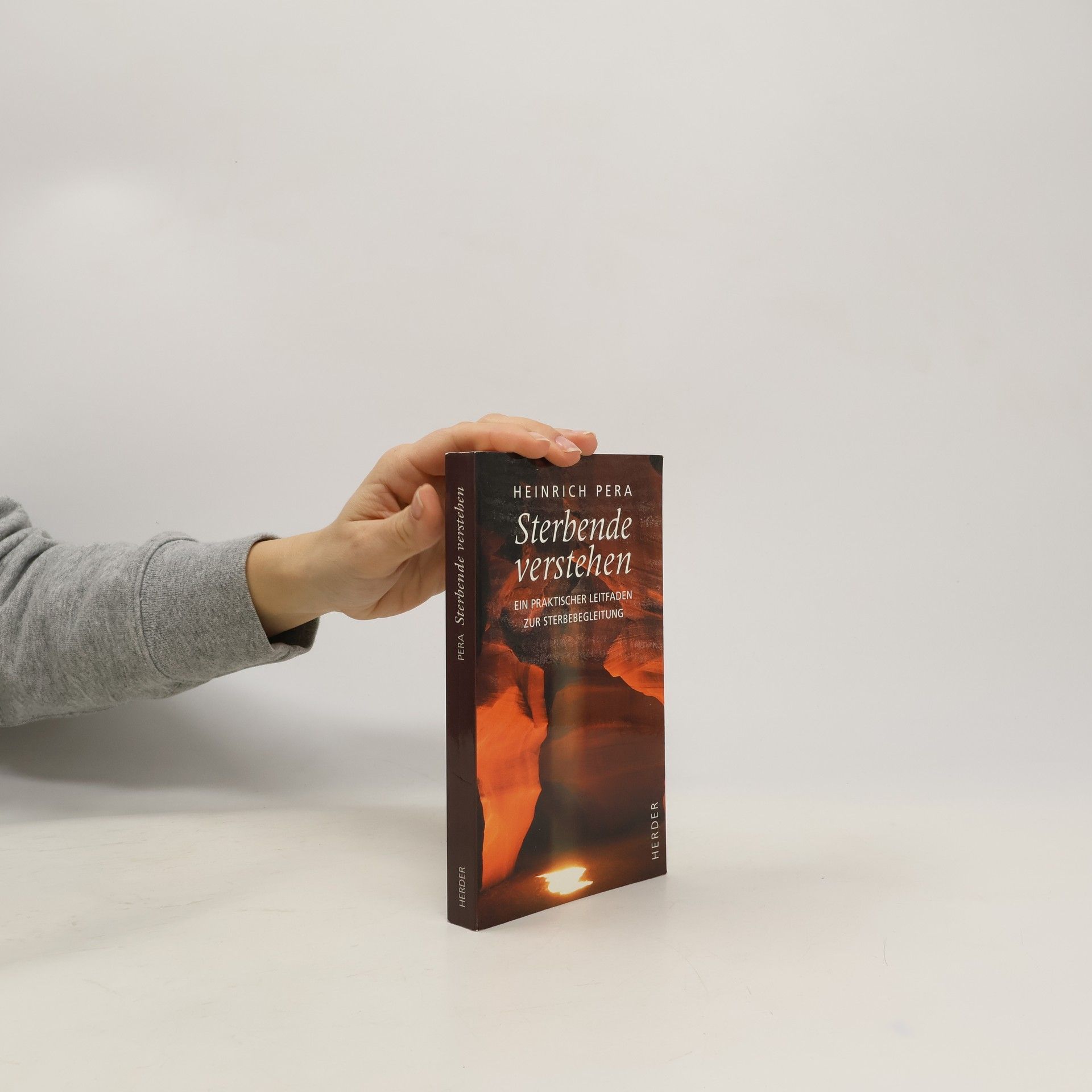 Heinrich Pera Sterbende verstehen