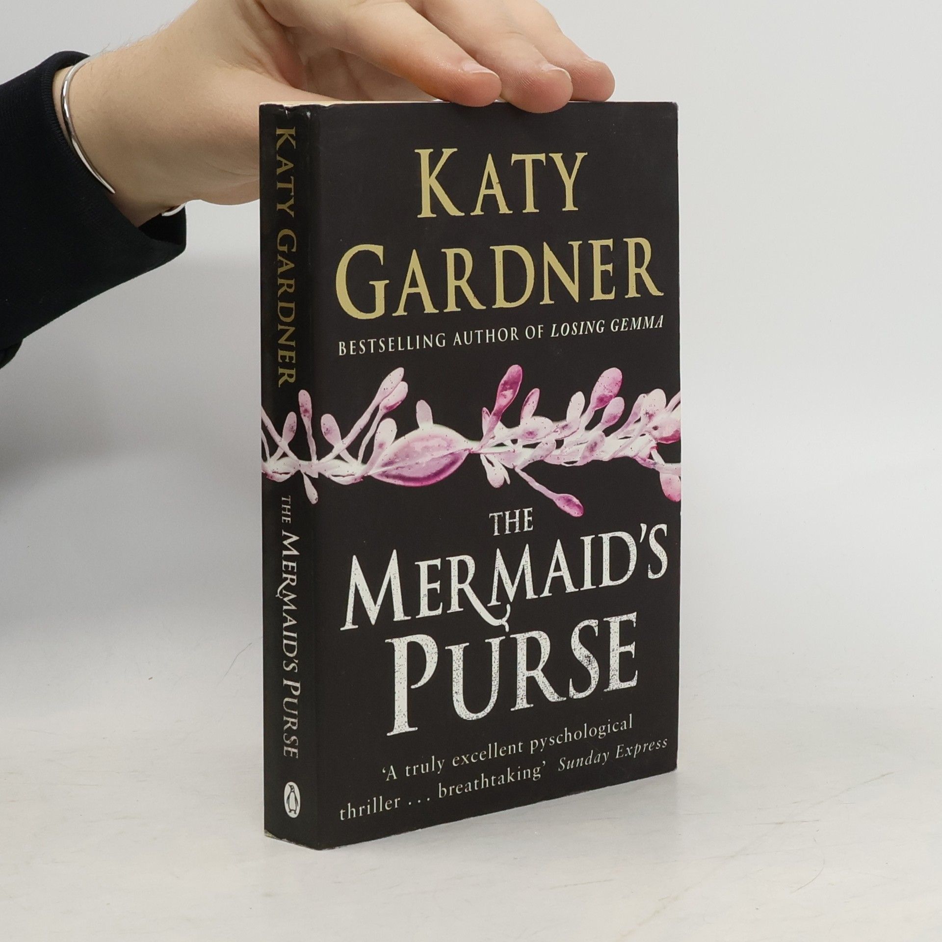 Katy Gardner The Mermaid's Purse