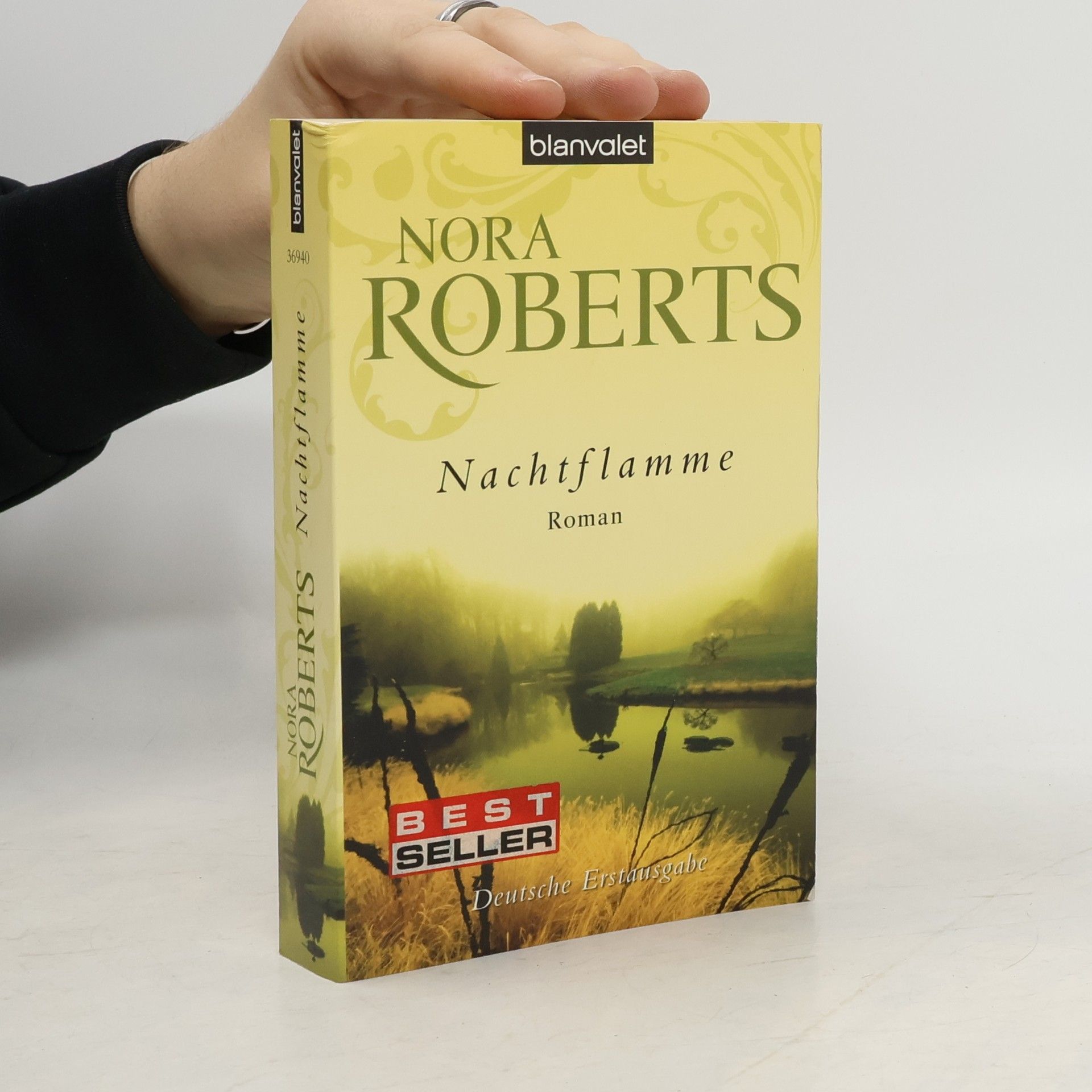 Nora Roberts Nachtflamme