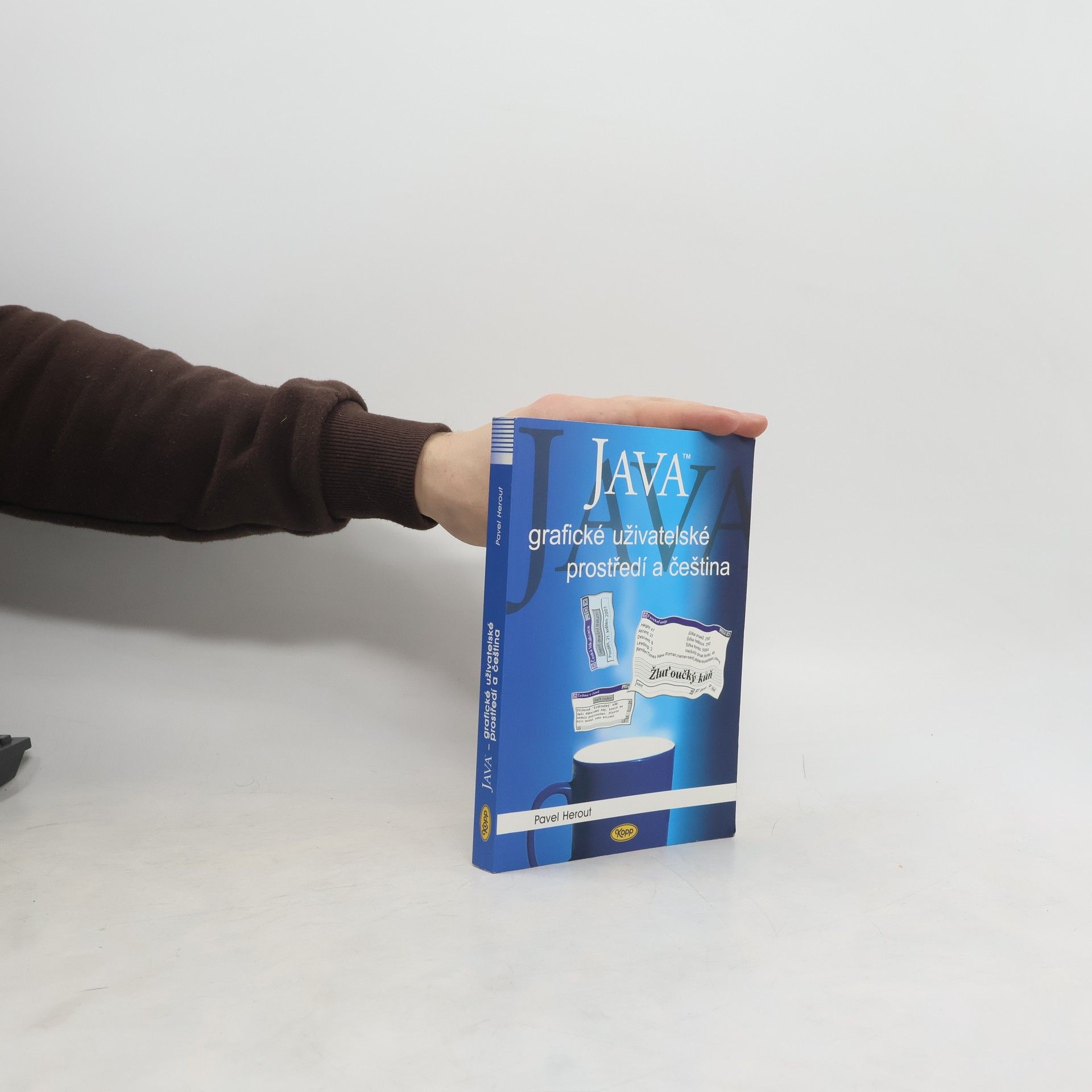Pavel Herout Java – grafické uživatelské prostředí a čeština