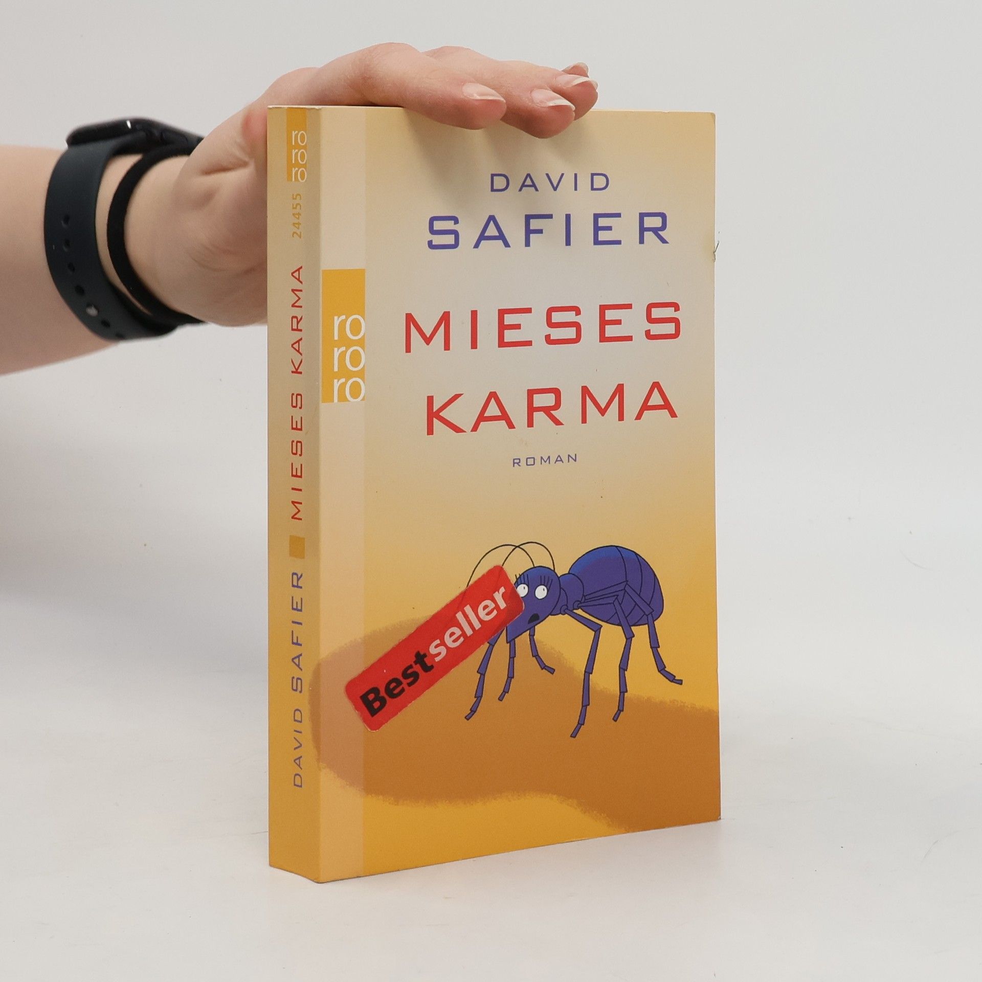 David Safier Mieses Karma