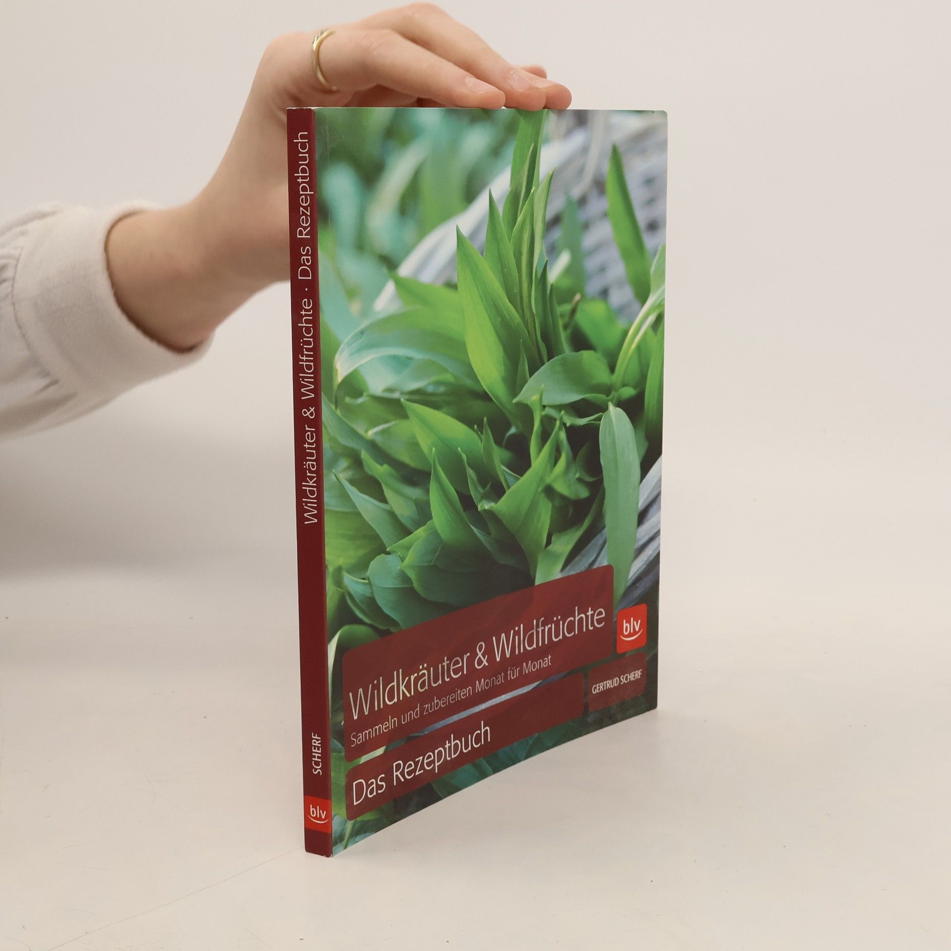 Gertrud Scherf Wildkräuter & Wildfrüchte - Das Rezeptbuch