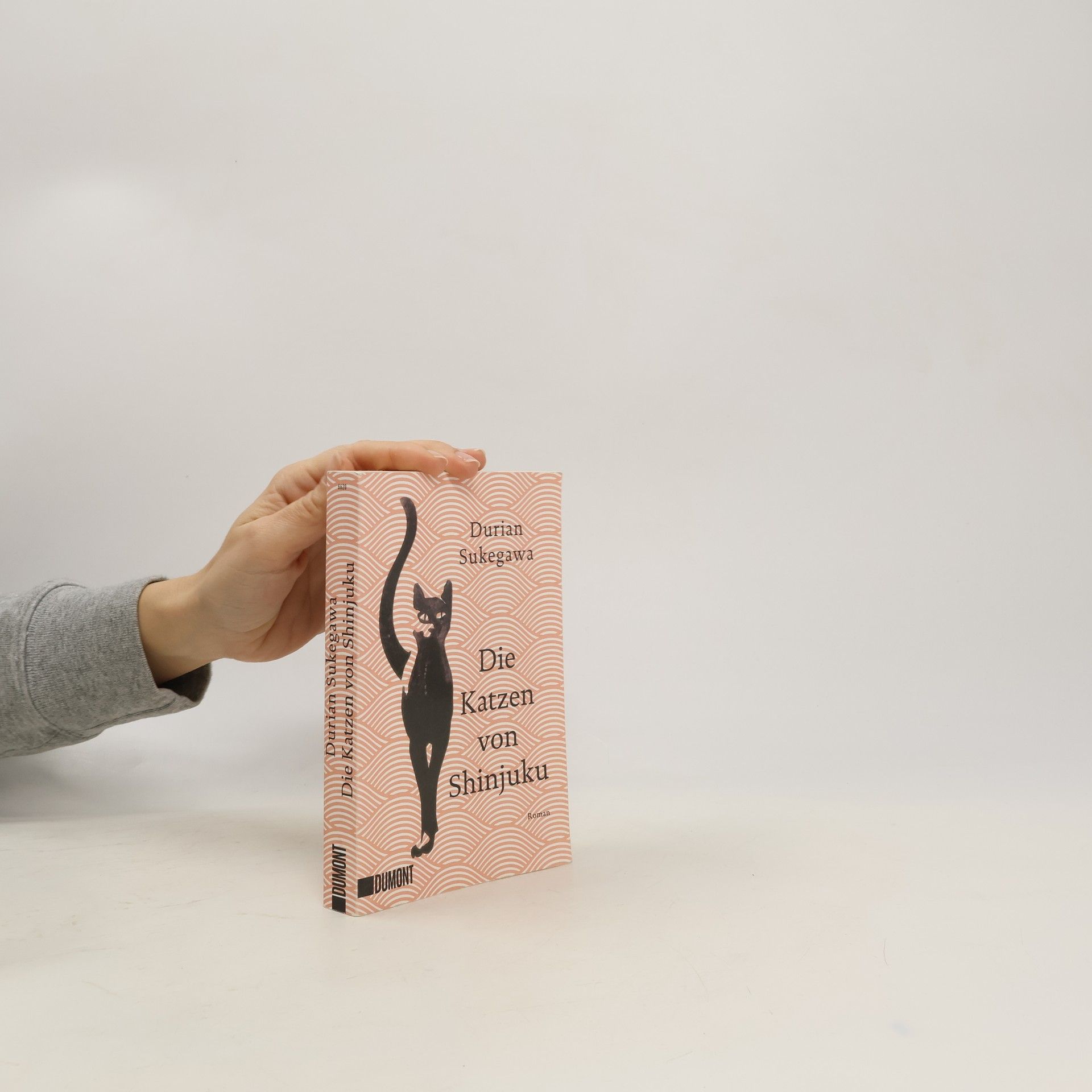 Durian Sukegawa Die Katzen von Shinjuku