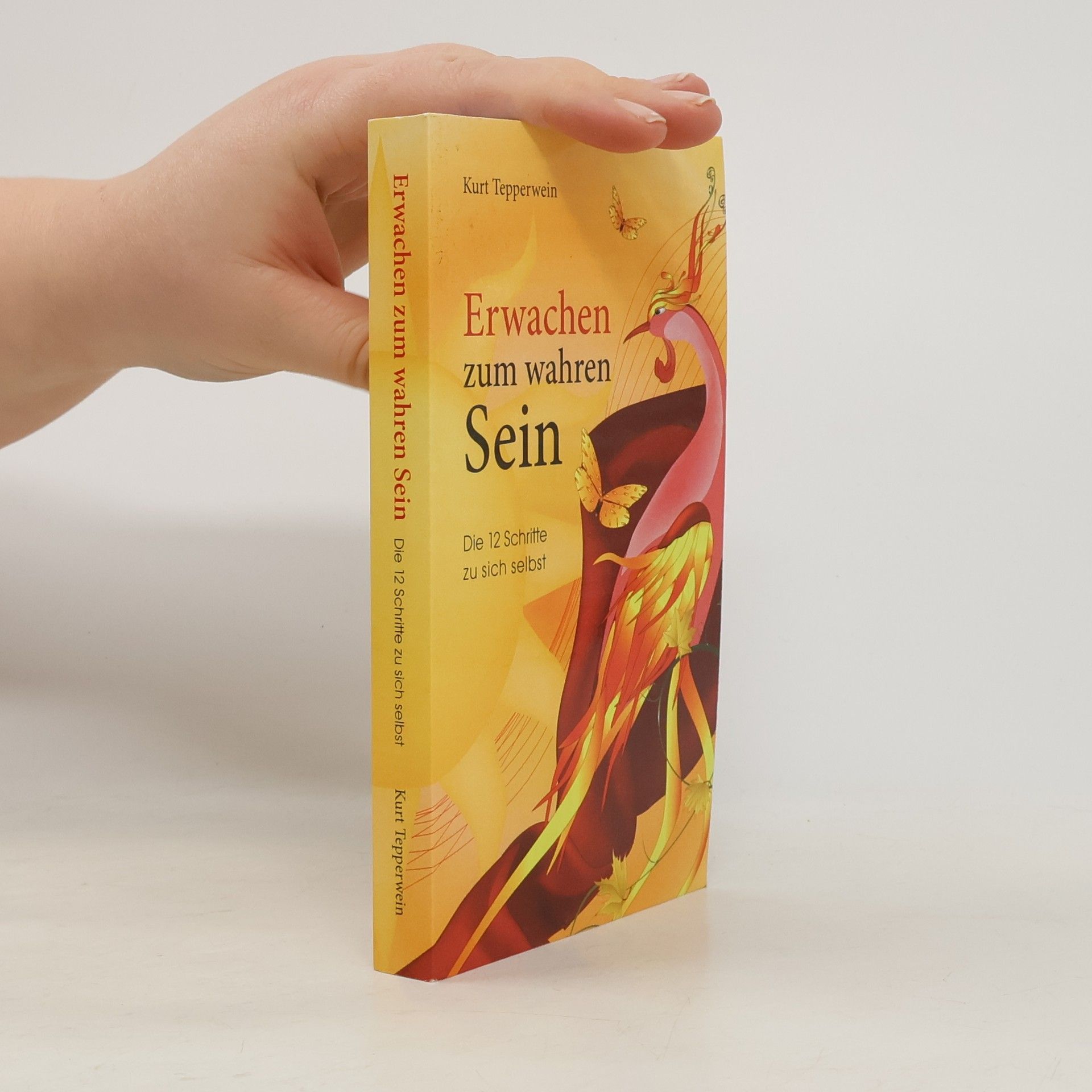 Kurt Tepperwein Erwachen zum wahren Sein