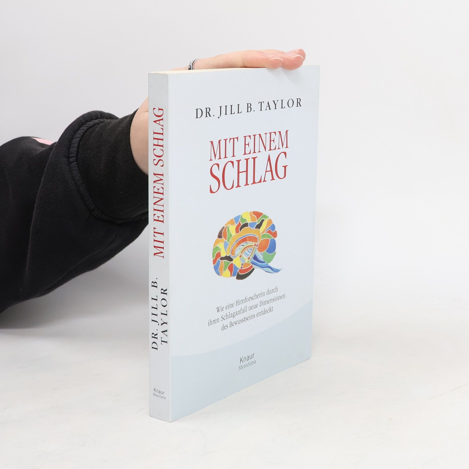 Jill Bolte Taylor Mit einem Schlag