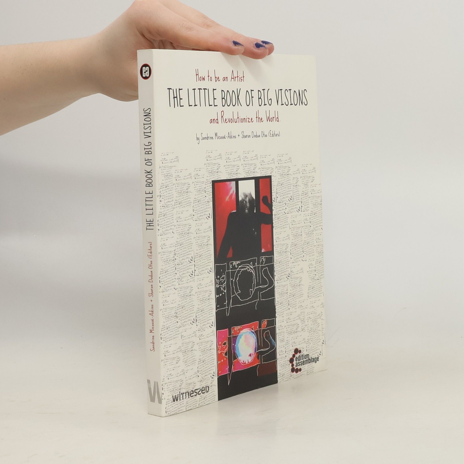 Sandrine Micosse Aikins The Little Book of Big Visions