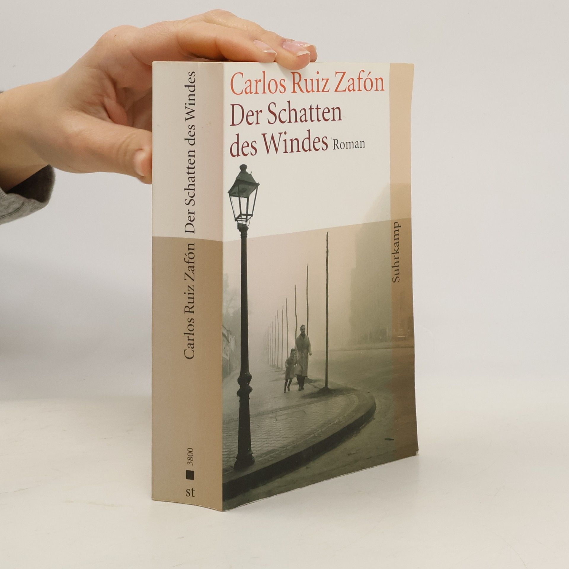 Der Schatten des Windes