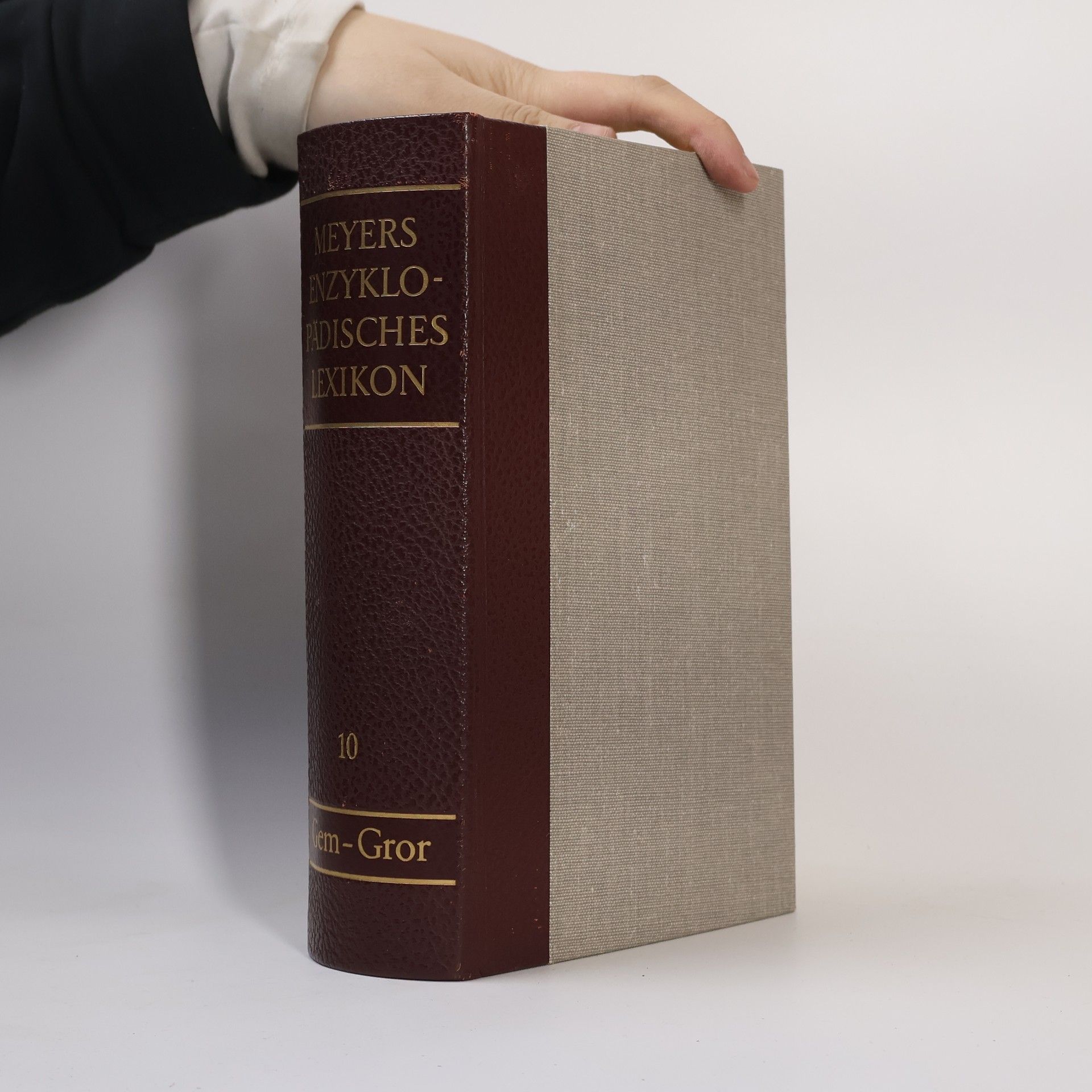 Autorenkollektiv Meyers Enzyklopädisches Lexikon. Band 10. Gem-Gror