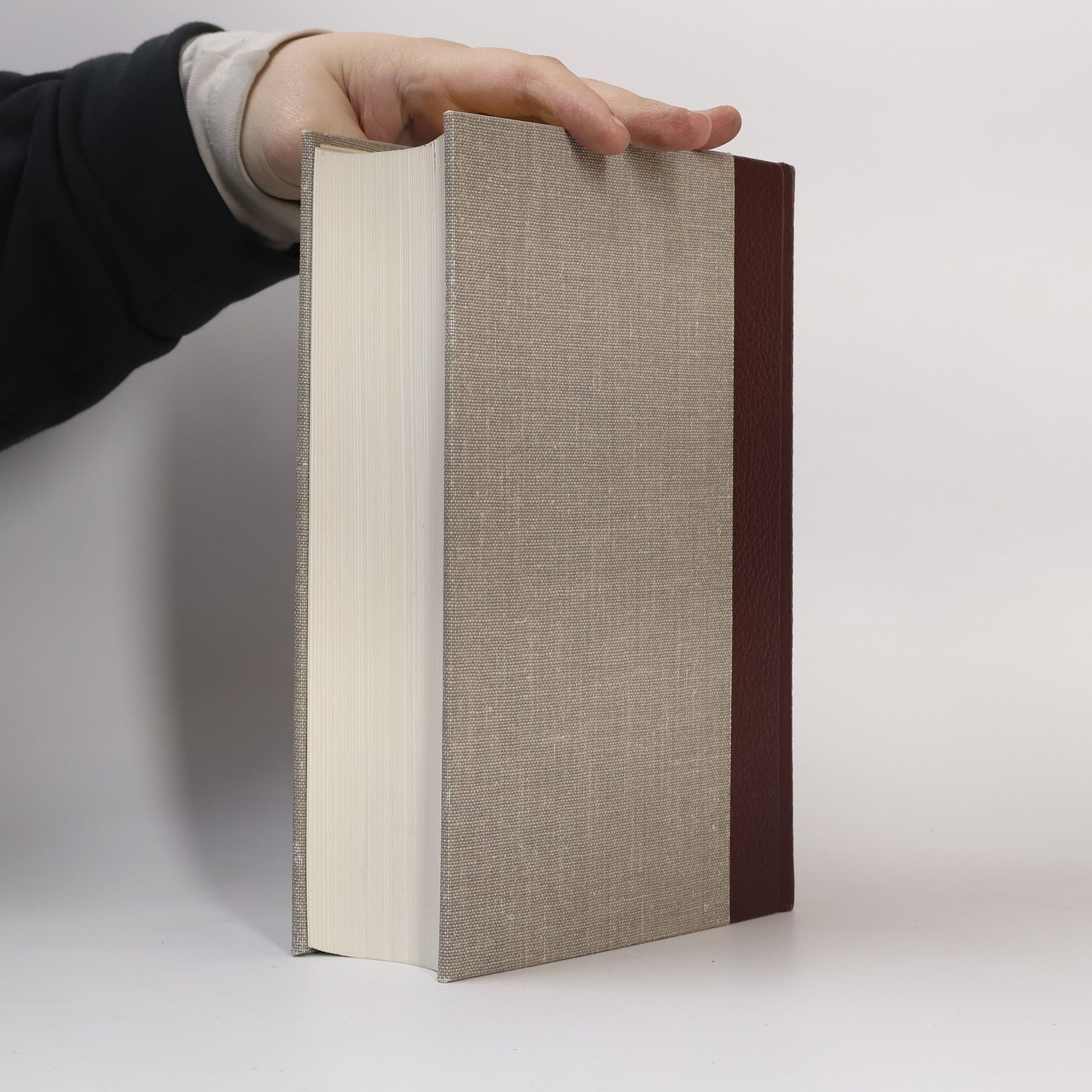 Autorenkollektiv Meyers Enzyklopädisches Lexikon. Band 10. Gem-Gror