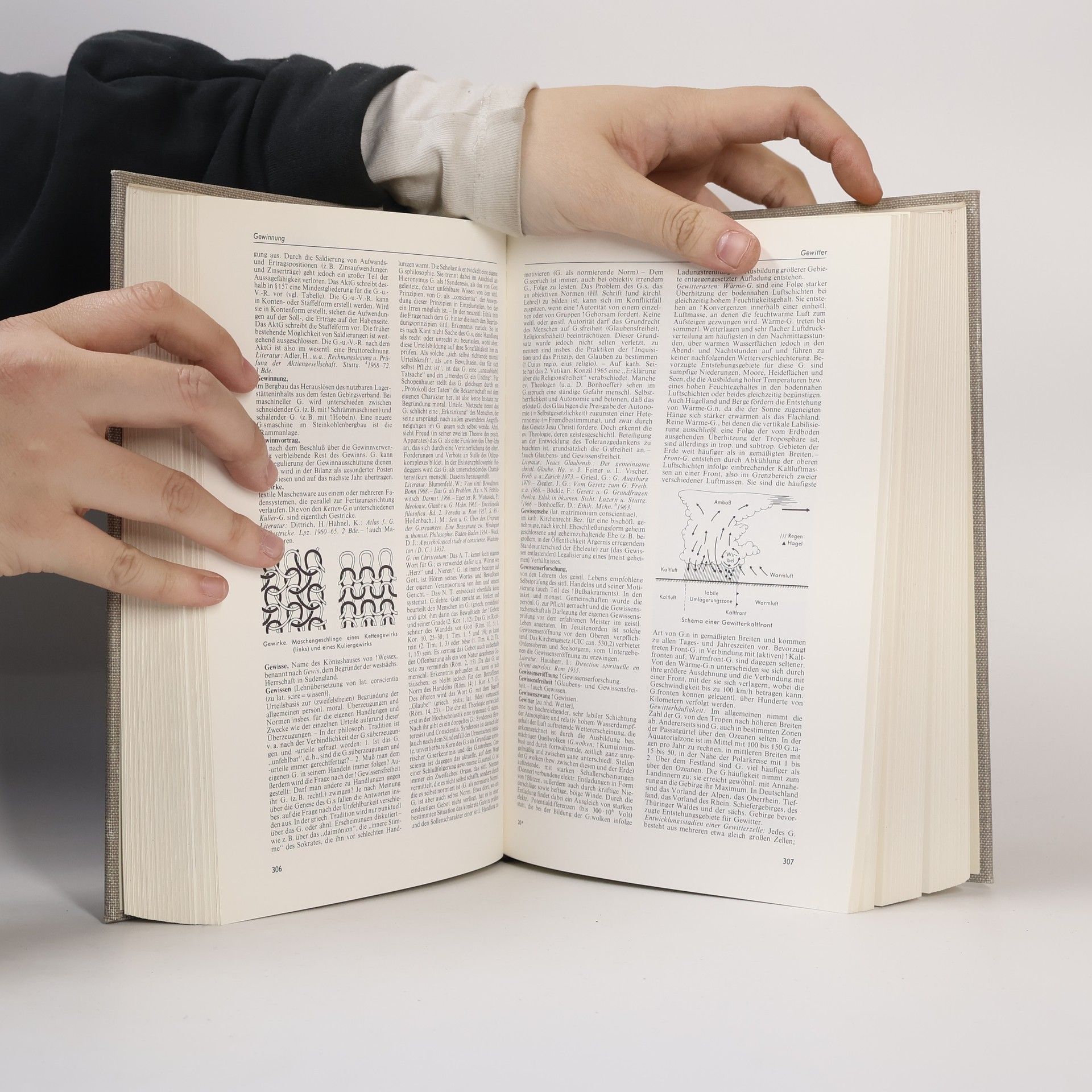 Autorenkollektiv Meyers Enzyklopädisches Lexikon. Band 10. Gem-Gror
