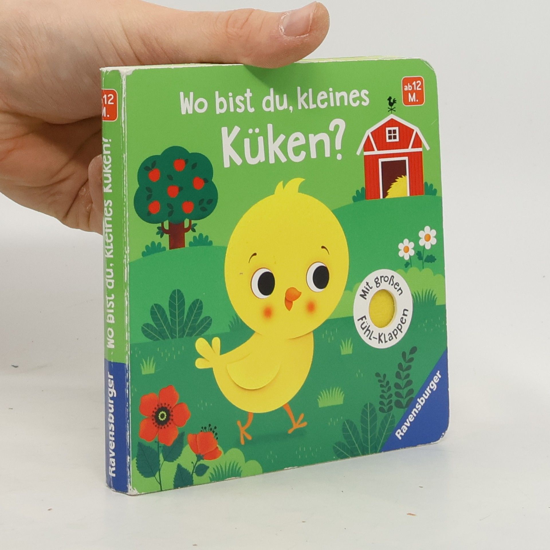 Wo bist du, kleines Küken?