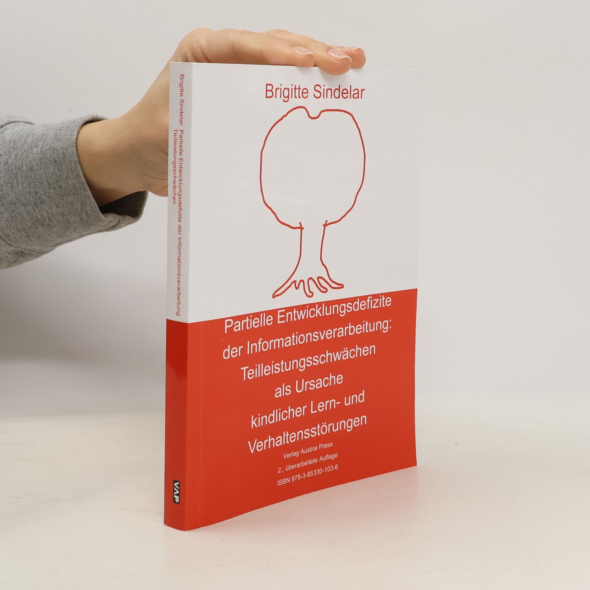 Partielle Entwicklungs der Informationsverarbeitung