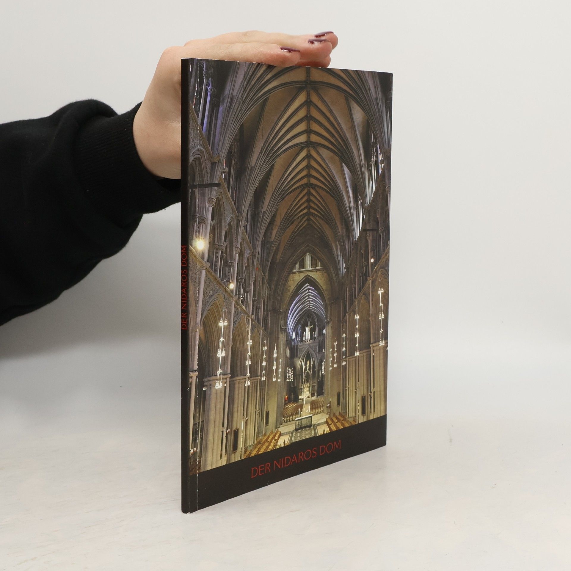 Øystein Ekroll Der Nidaros Dom