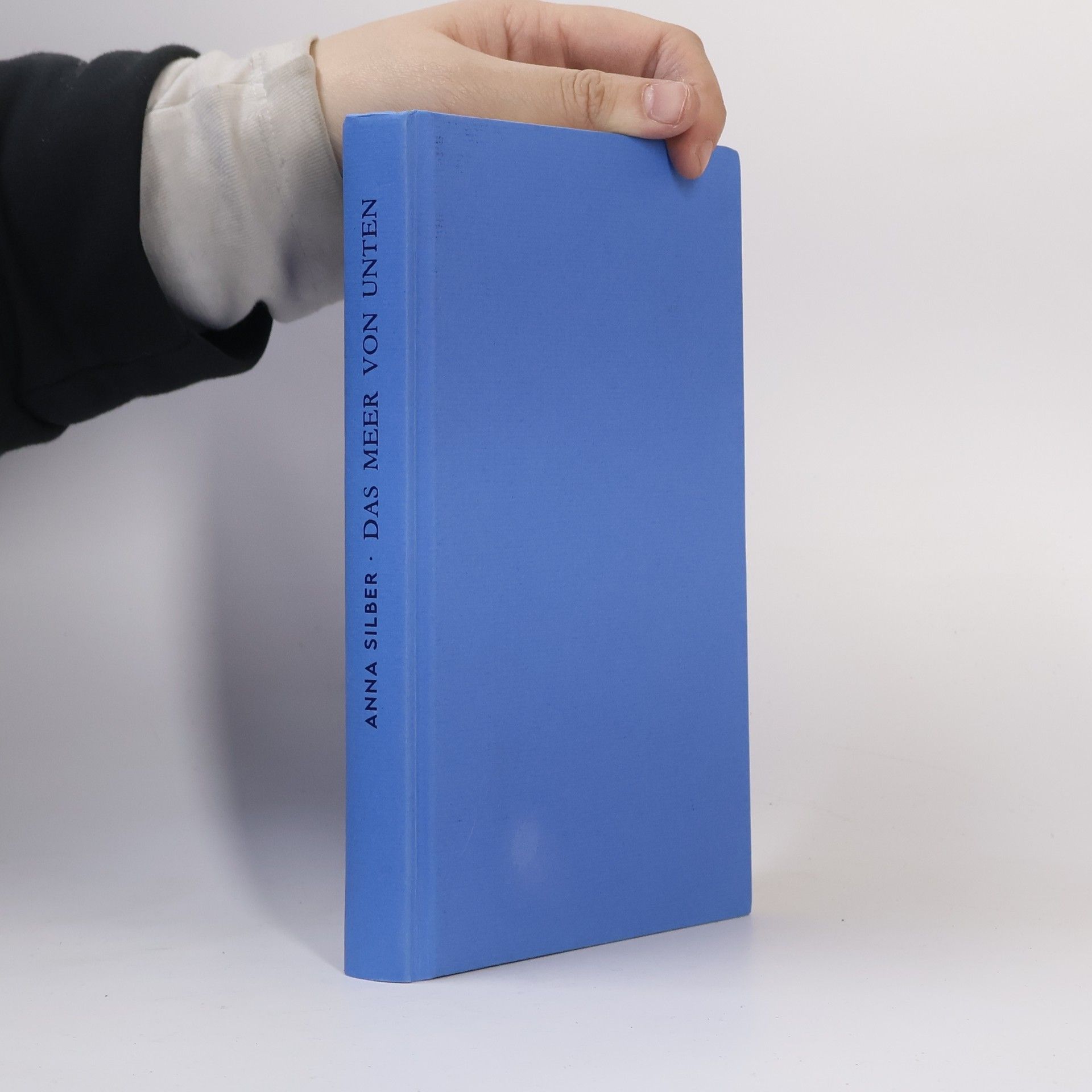 Anna Silber Das Meer von unten
